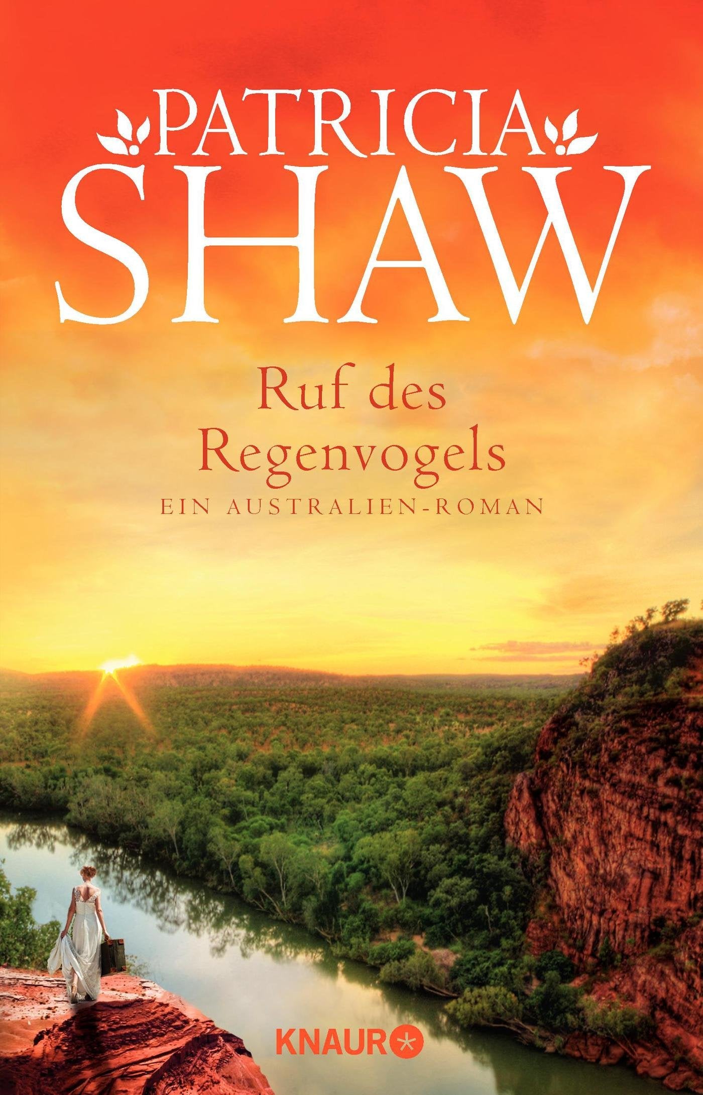Ruf des Regenvogels Contemporary literature Books