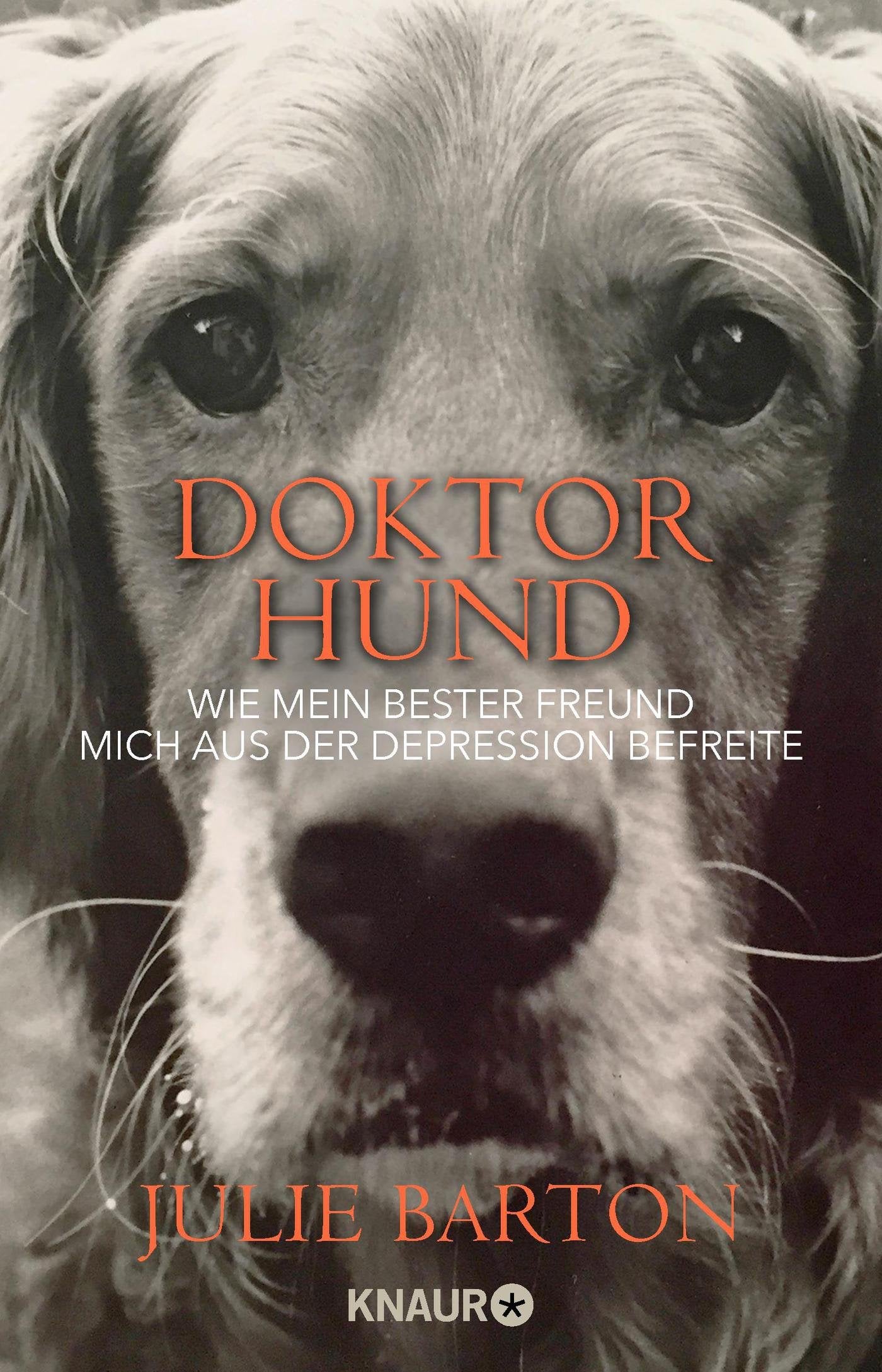 Product Image: Doktor Hund