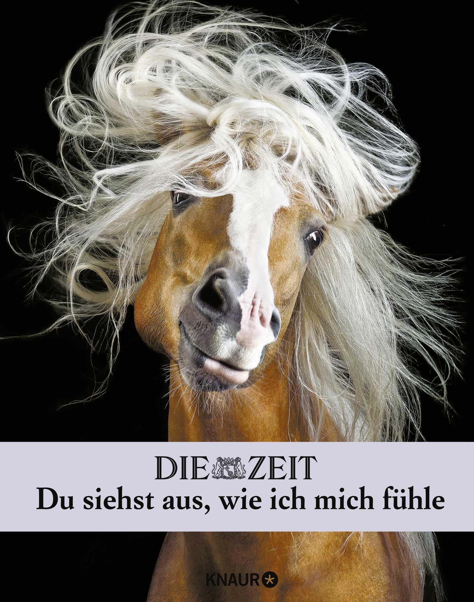 Die Zeit. Du siehst aus, wie ich mich fühle Humour & Satire