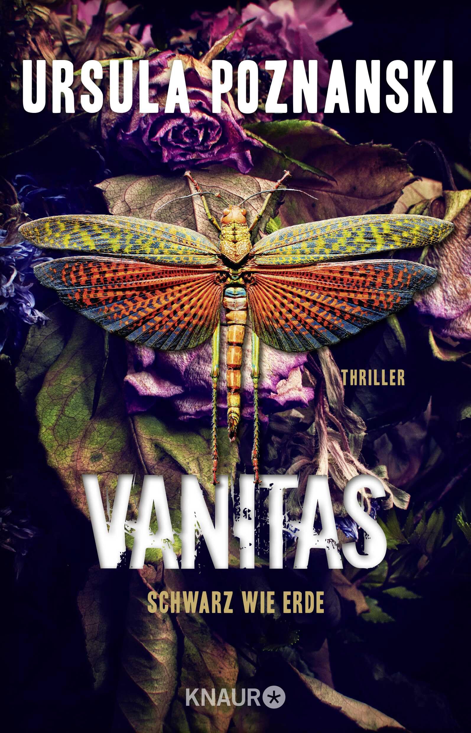 Product Image: Vanitas - Schwarz wie Erde