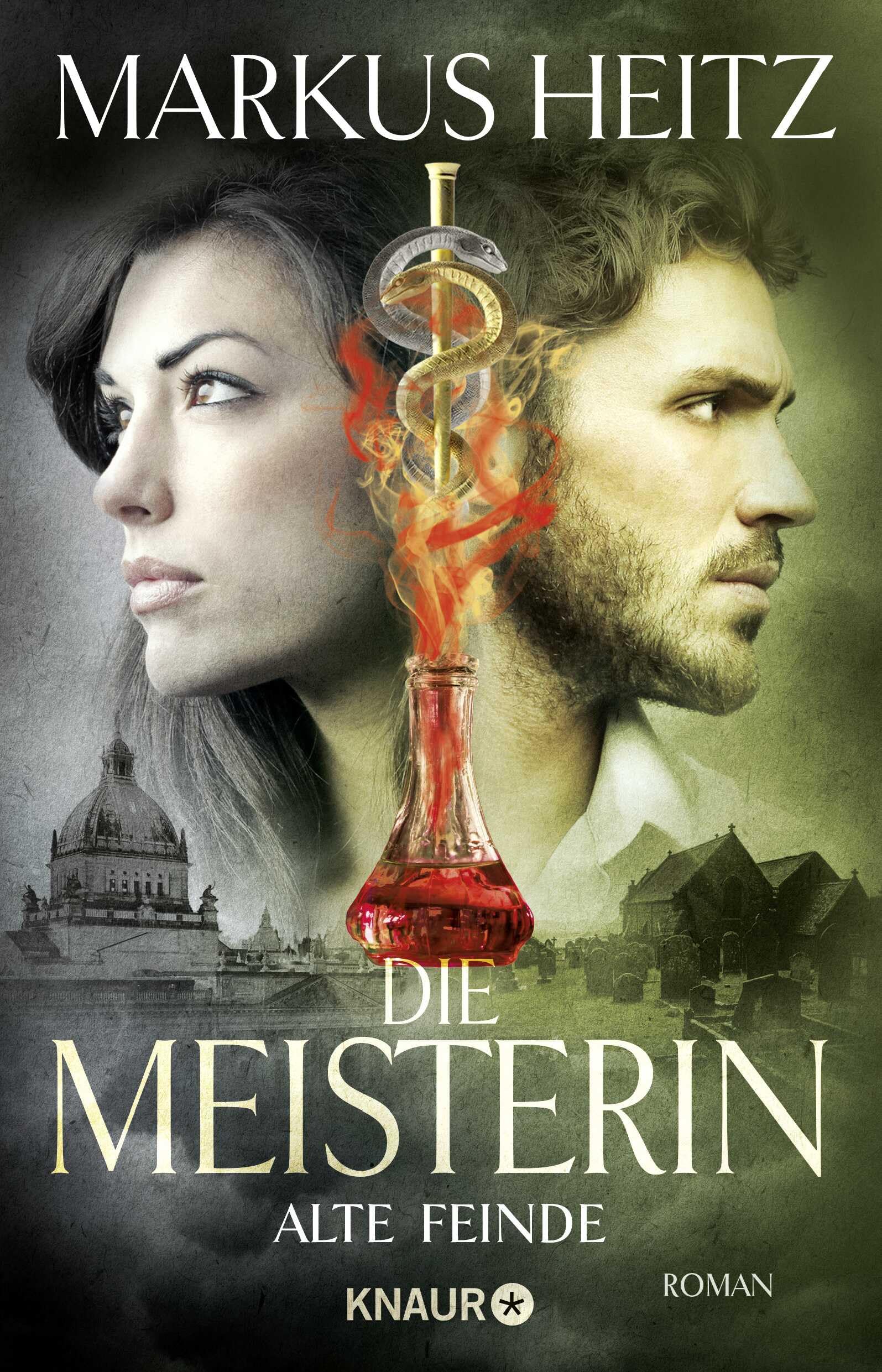 Die Meisterin: Alte Feinde Contemporary literature Books