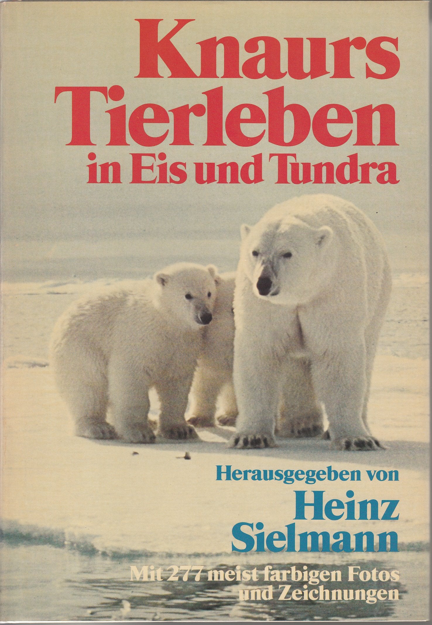 Knaurs Tierleben in Eis und Tundra Books