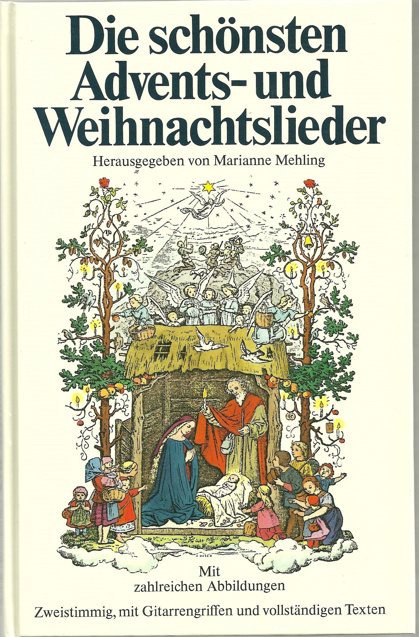 Die schönsten Advents- und Weihnachtslieder: Zweistimmig, mit Gitarrengriffen und vollständigen Texten Books