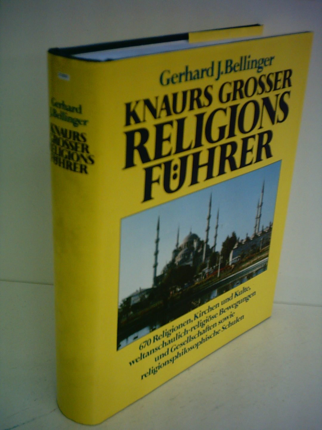 Knaurs Grosser Religionsführer: 670 Religionen, Kirchen und Kulte, weltanschaulich-religiöse Bewegungen und Gesellschaften sowie religionsphilosophische Schulen Reference Books