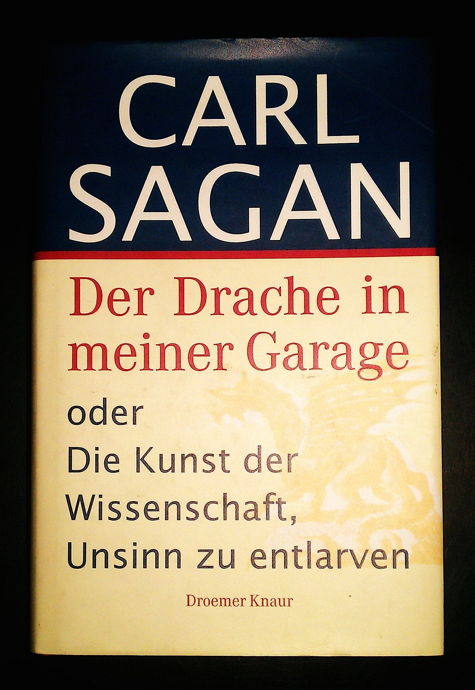Der Drache in meiner Garage. Oder die Kunst der Wissenschaft, Unsinn zu entlarven Business & Technology