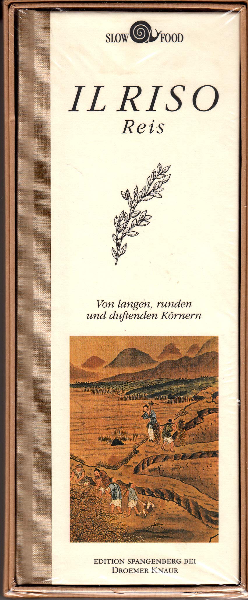 Reis: Von langen, runden und duftenden Körnern Cooking & Enjoying