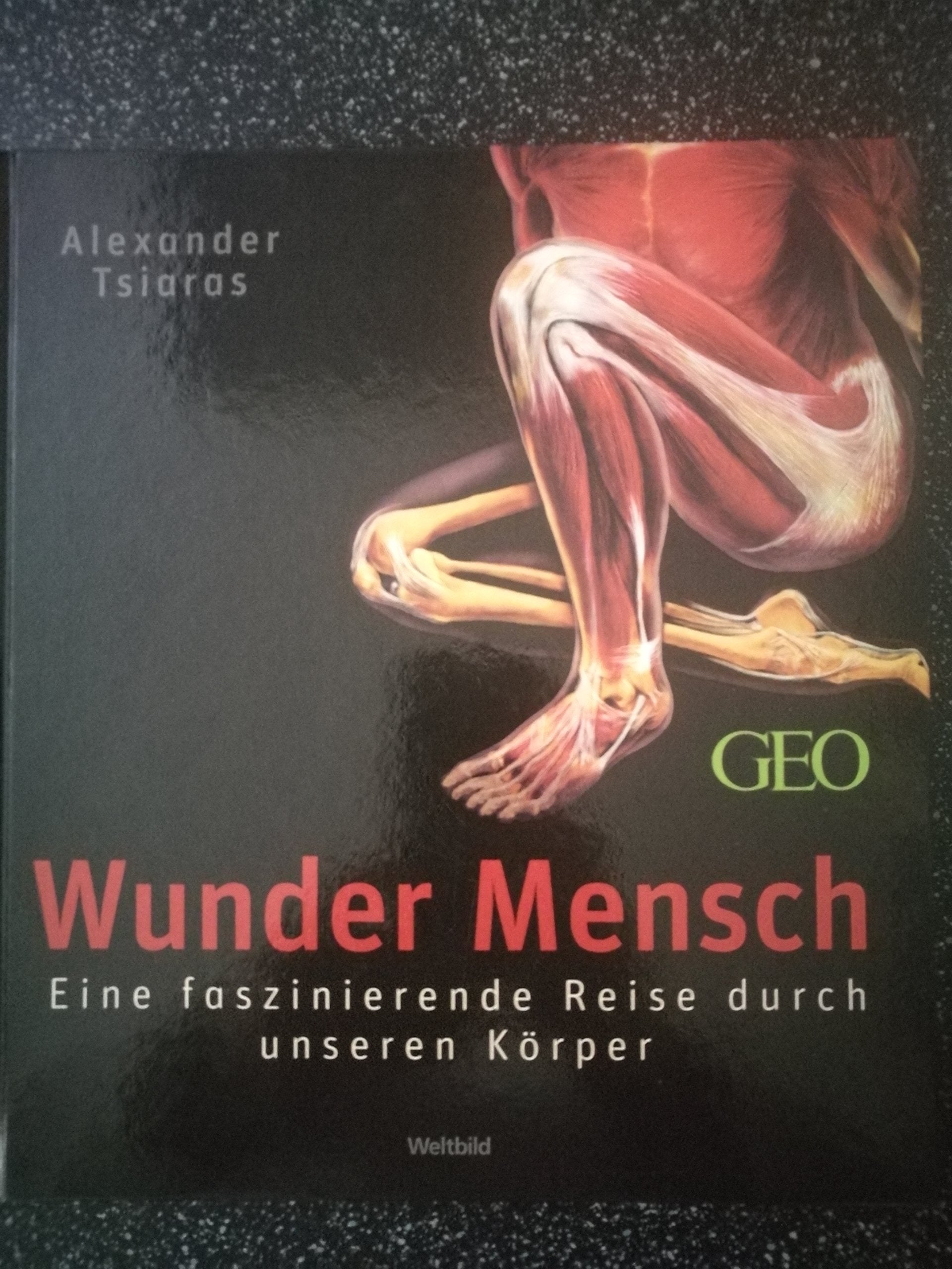 Wunder Mensch: Eine faszinierende Reise durch unseren Körper Medicine