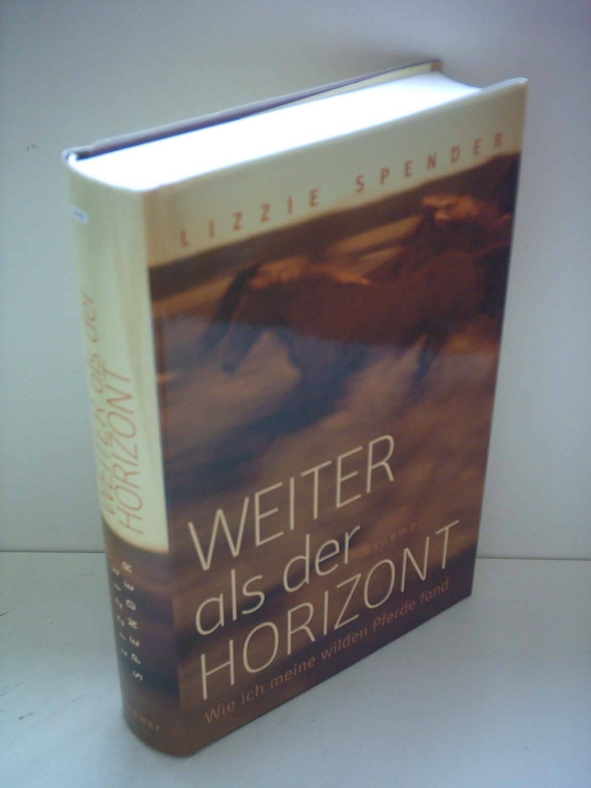 Weiter als der Horizont: Wie ich meine wilden Pferde fand Essays & Short Stories