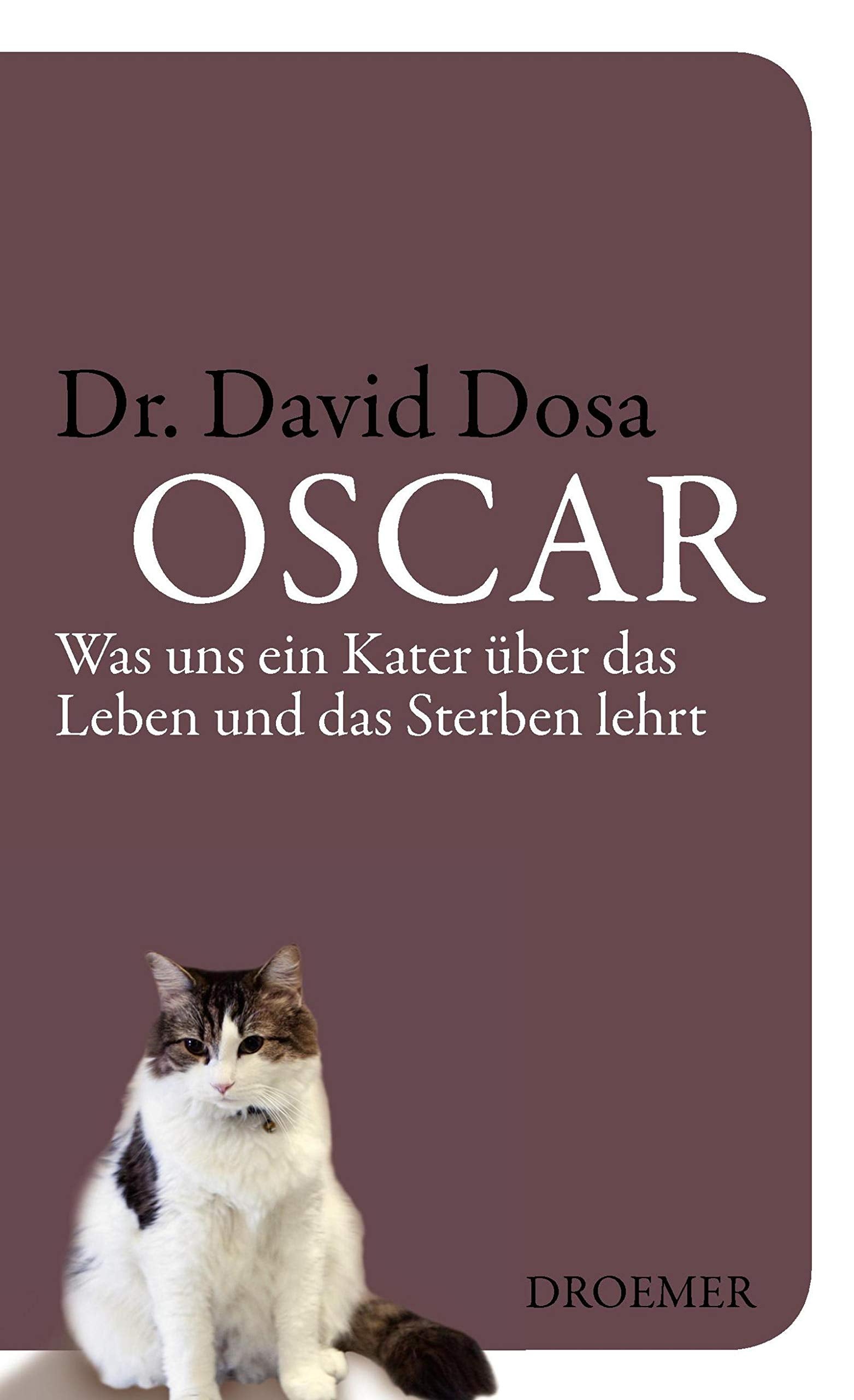 Oscar: Was uns ein Kater über das Leben und das Sterben lehrt Lifestyle