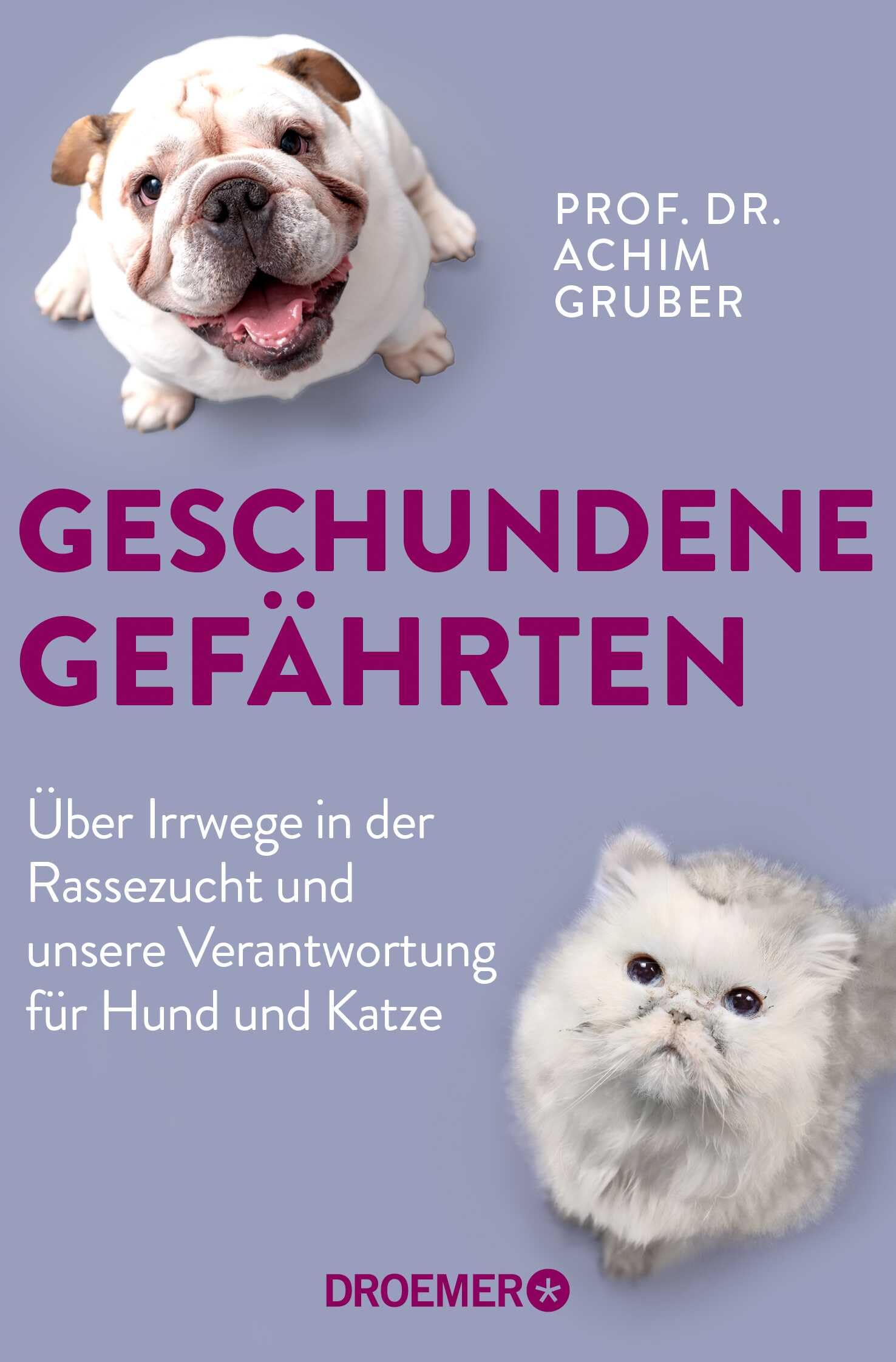 Geschundene Gefährten Medicine