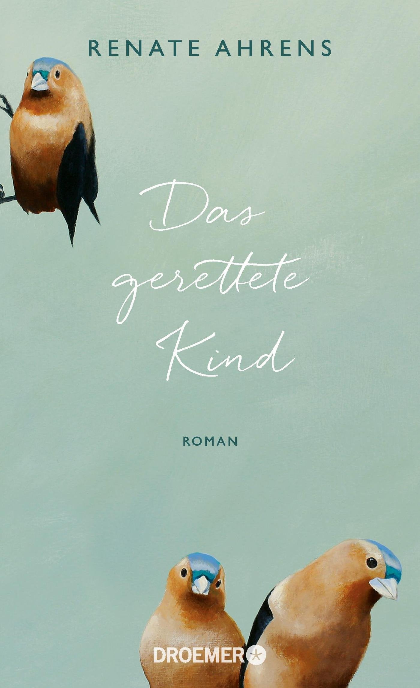 Das gerettete Kind Contemporary literature Books