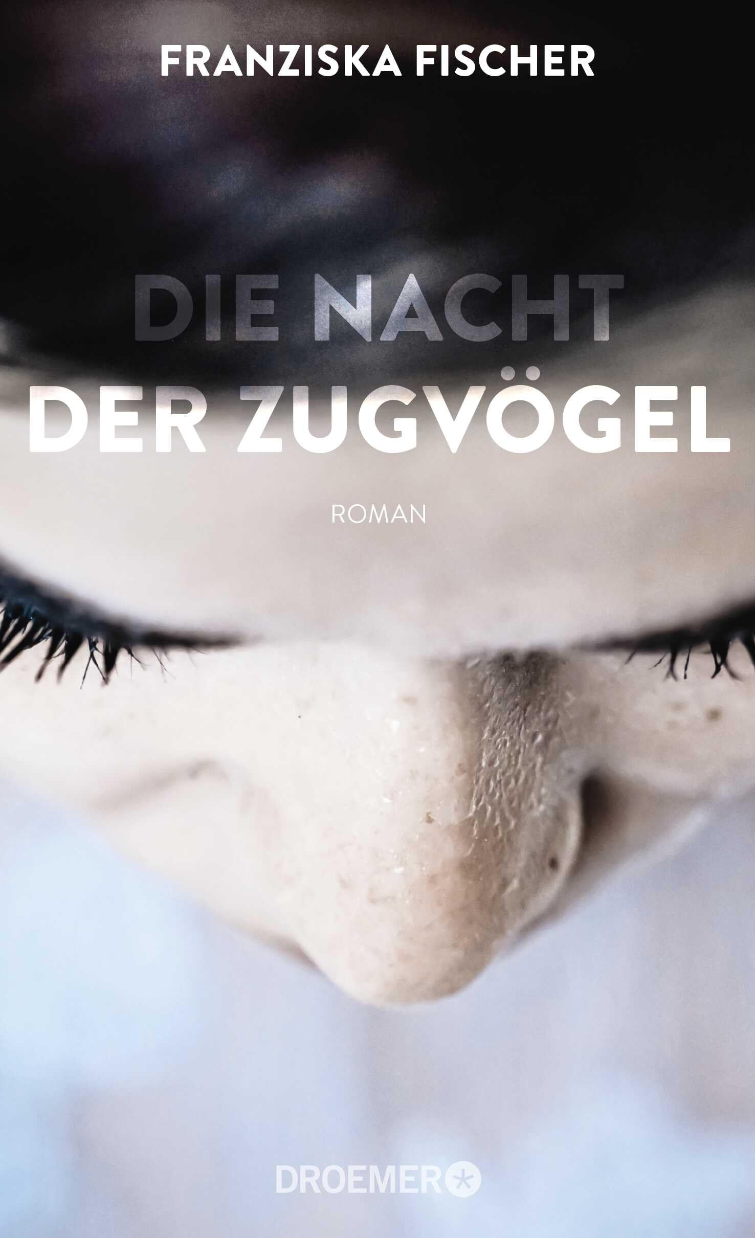 Die Nacht der Zugvögel: Roman Contemporary literature