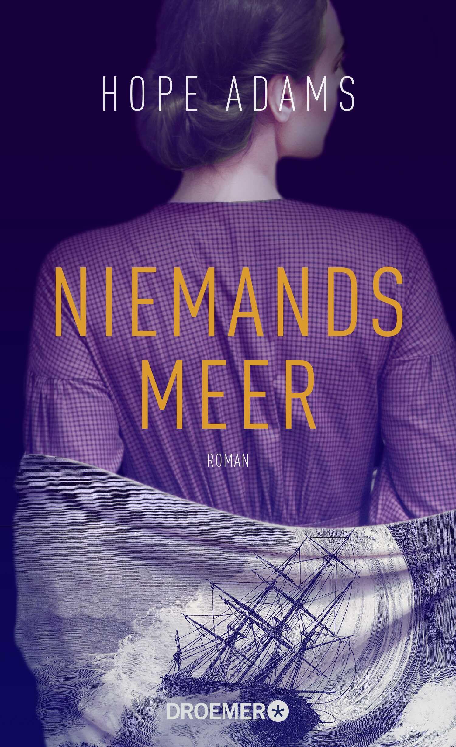 Niemandsmeer Contemporary literature Books