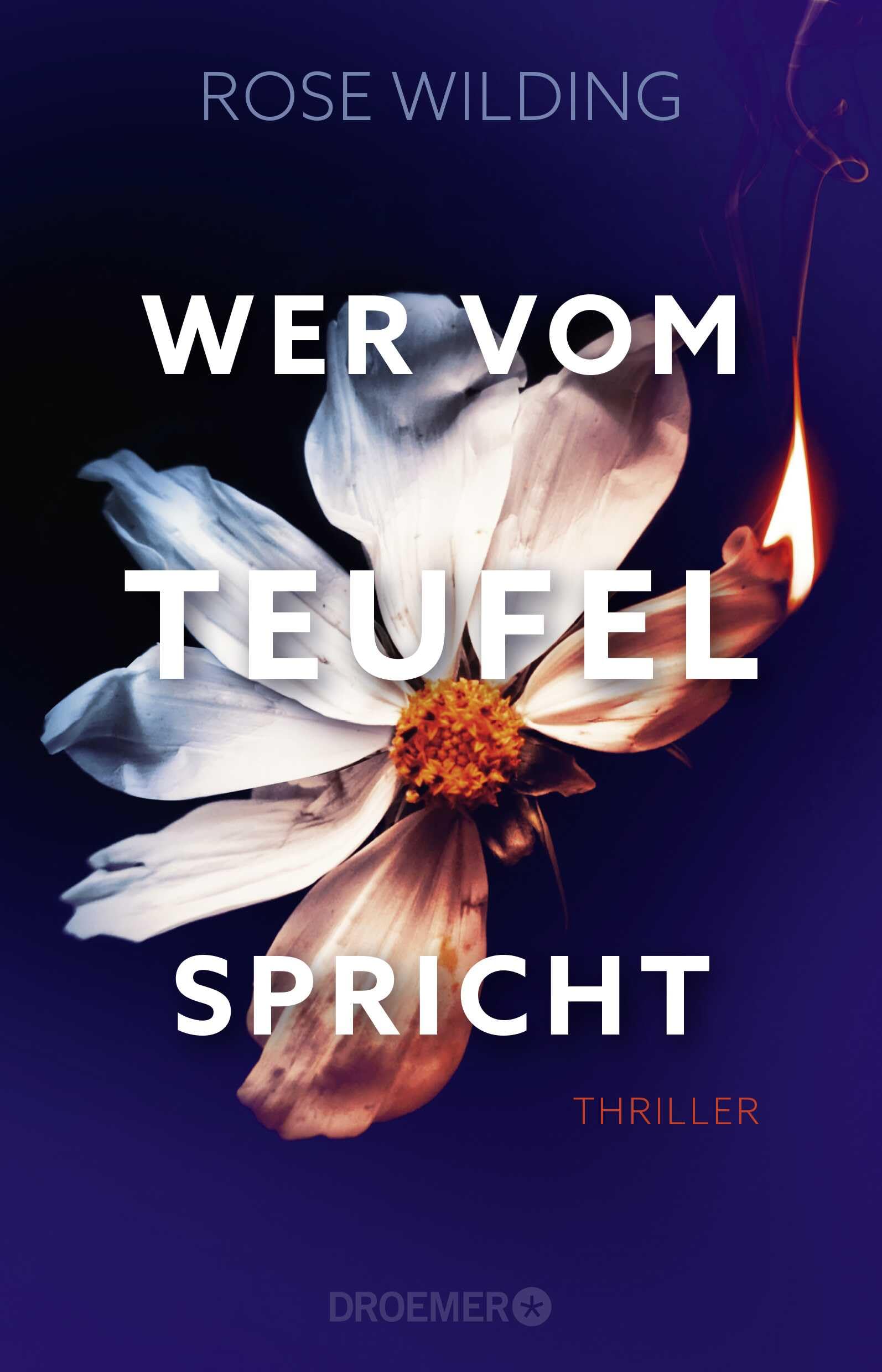 Wer vom Teufel spricht Social Sciences Books