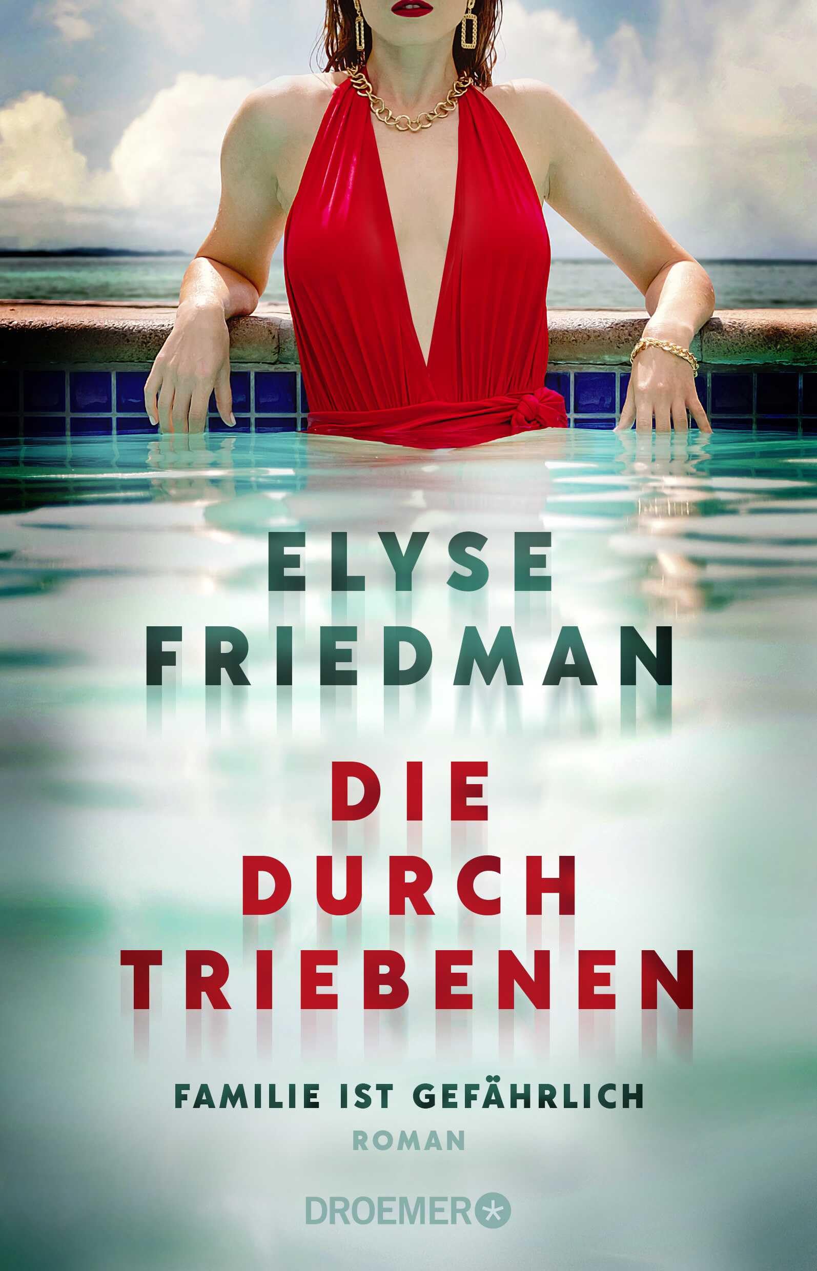 Die Durchtriebenen Contemporary literature Books