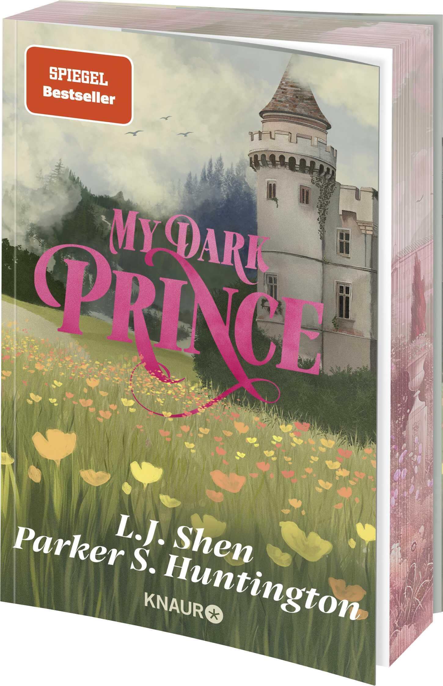 My Dark Prince Contemporary literature Books