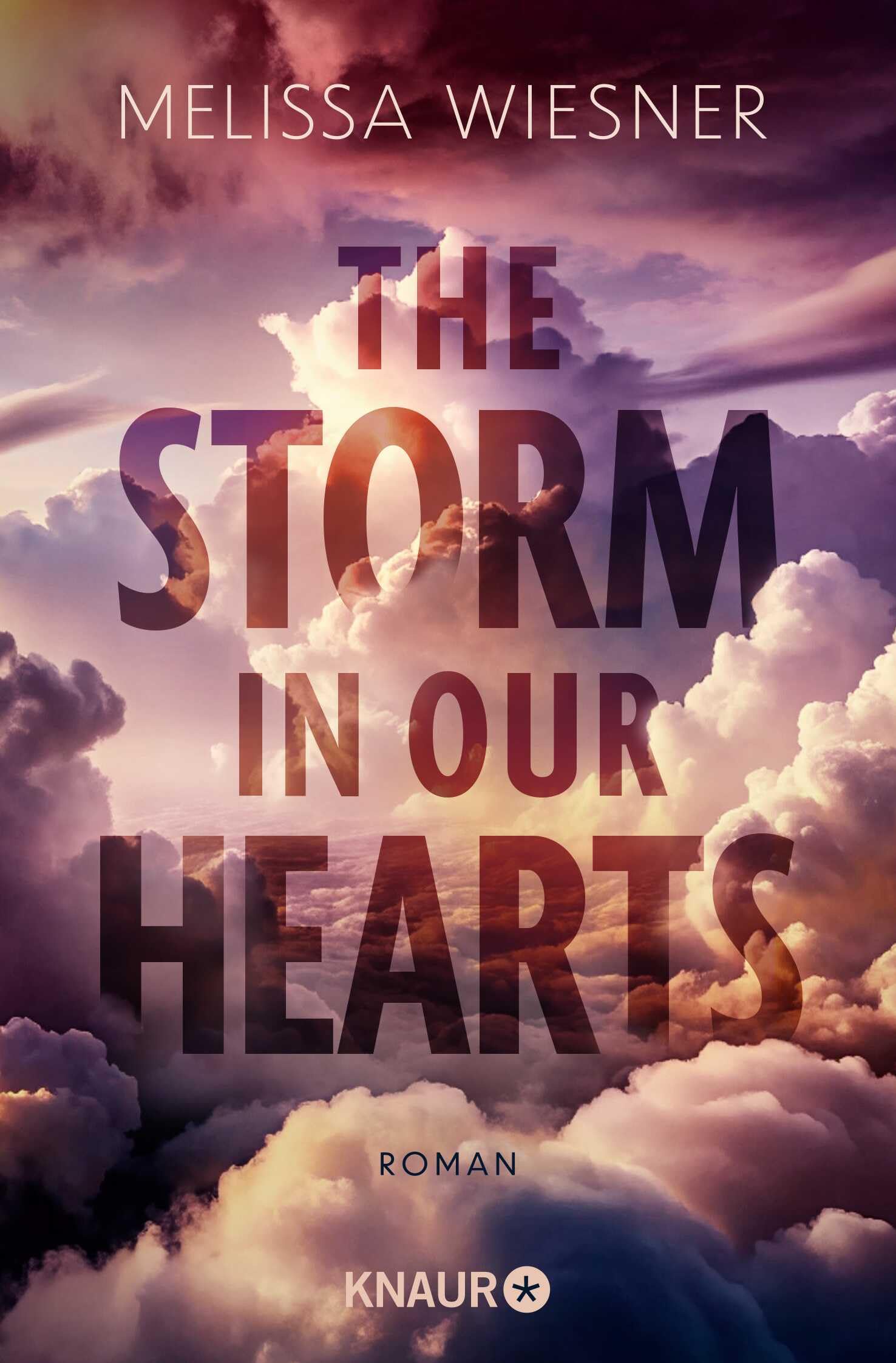 The Storm in Our Hearts book