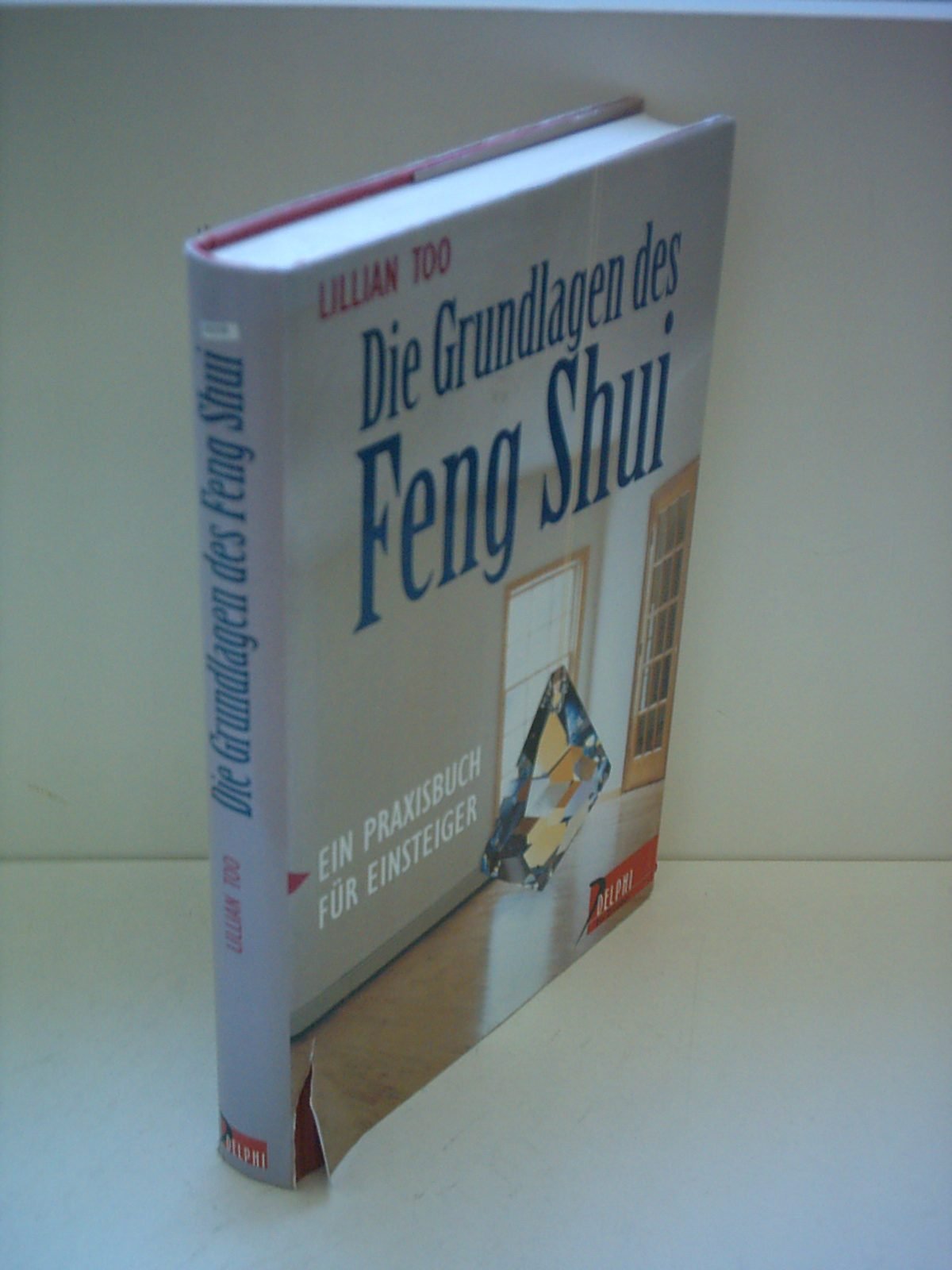 Die Grundlagen des Feng Shui: Ein Praxisbuch für Einsteiger (Delphi bei Droemer Knaur) Religion & Esotericism