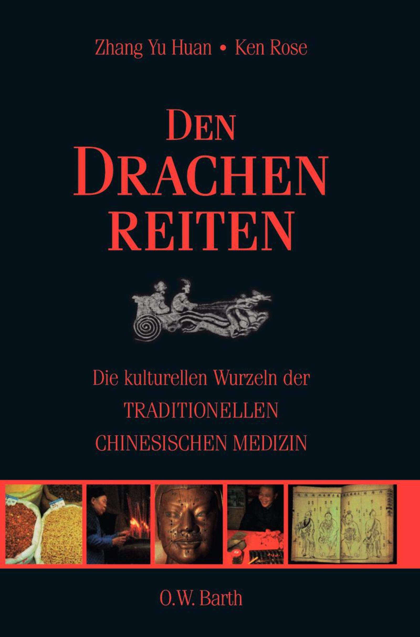 Den Drachen reiten: Die kulturellen Wurzeln der Traditionellen Chinesischen Medizin book