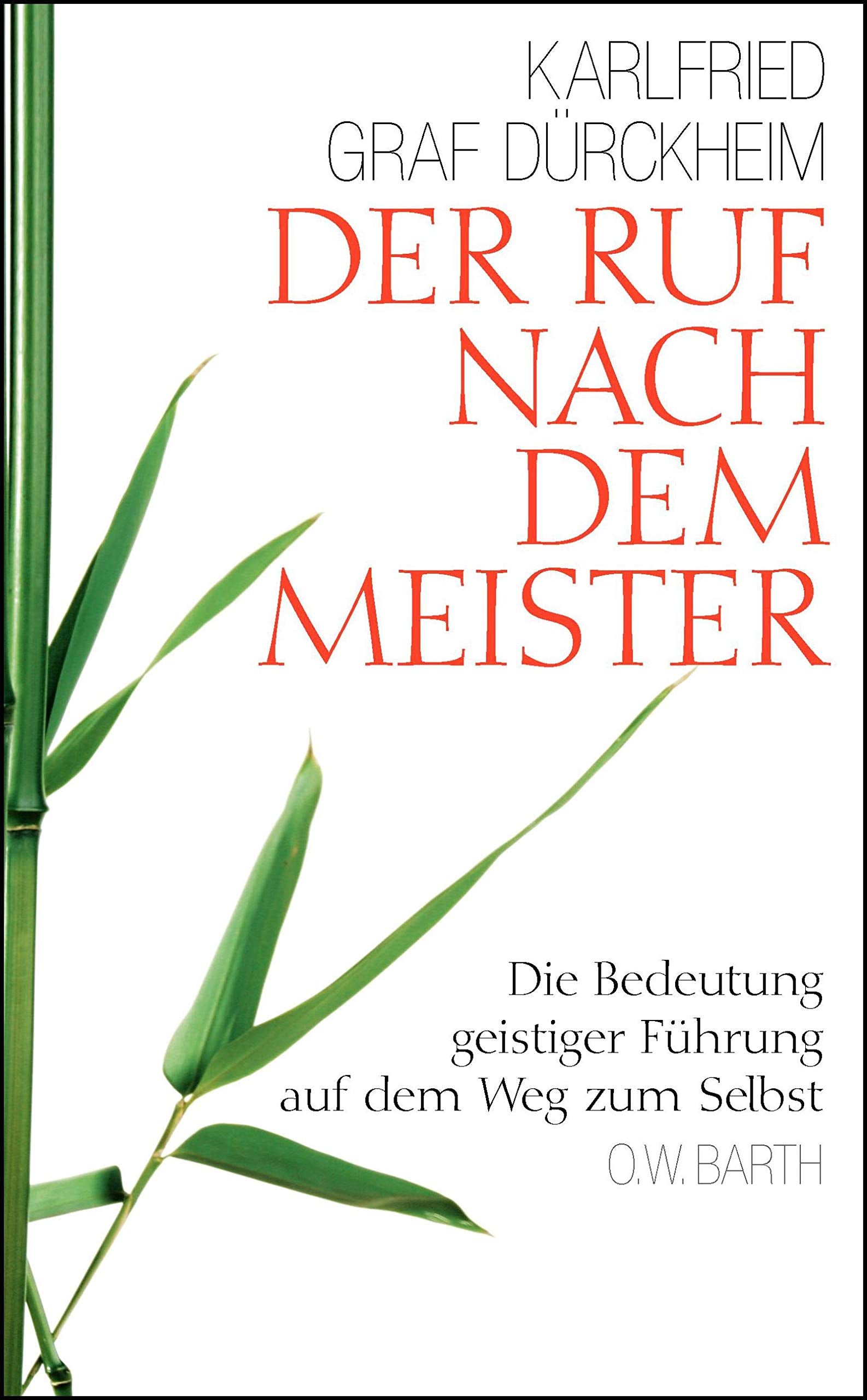 Der Ruf nach dem Meister: Die Bedeutung geistiger Führung auf dem Weg zum Selbst Psychology