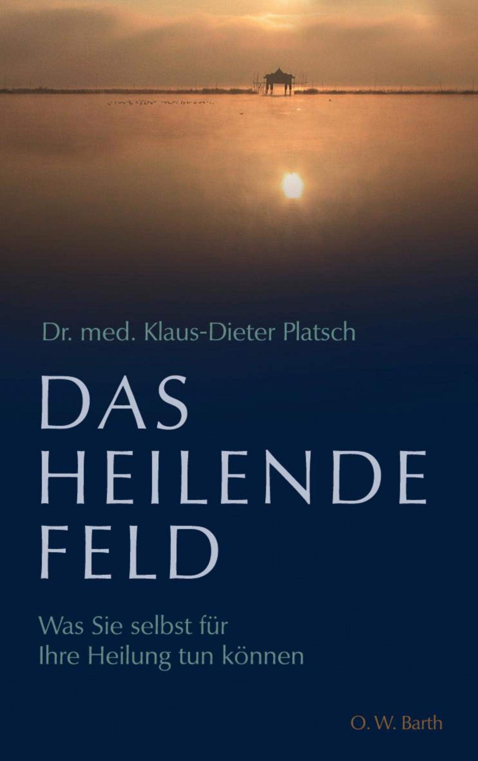 Das heilende Feld: Was Sie selbst für Ihre Heilung tun können Lifestyle
