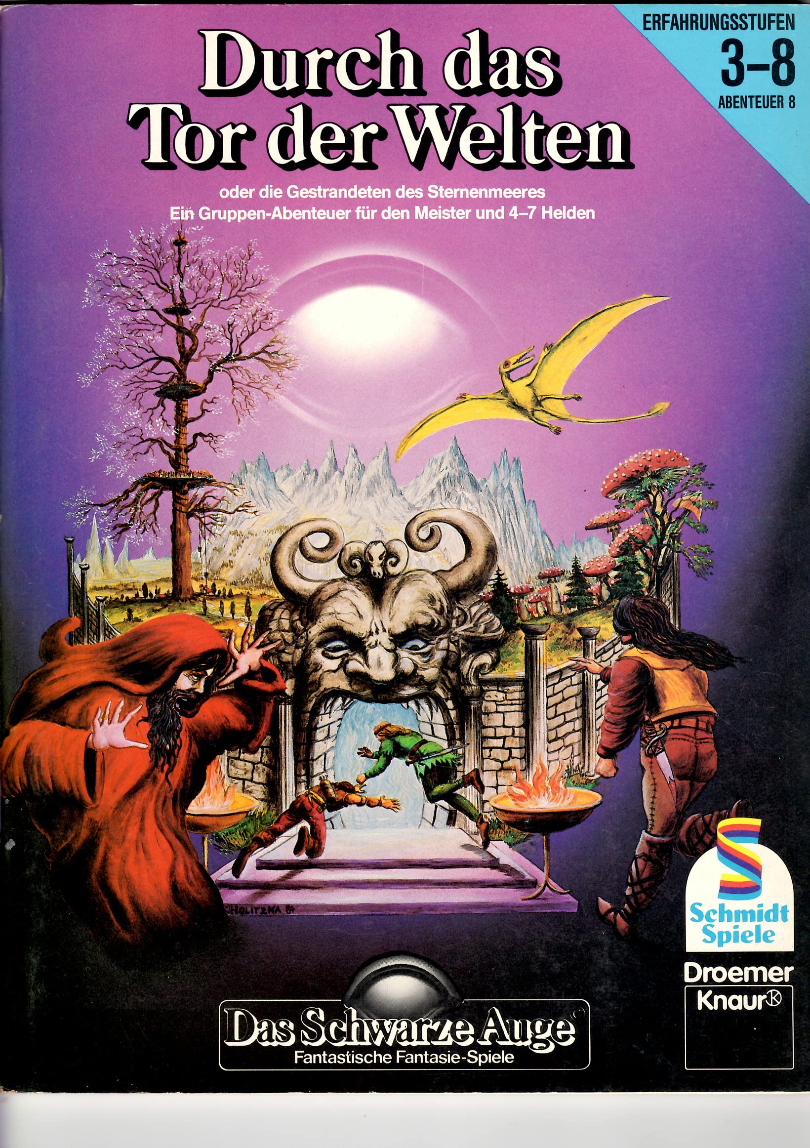 Das Schwarze Auge. Basis- Spiel VIII. Durch das Tor der Welten oder die Gestrandeten des Sternenmeeres. Ein Gruppen- Abenteuer für den Meister und 4-7 Helden Books