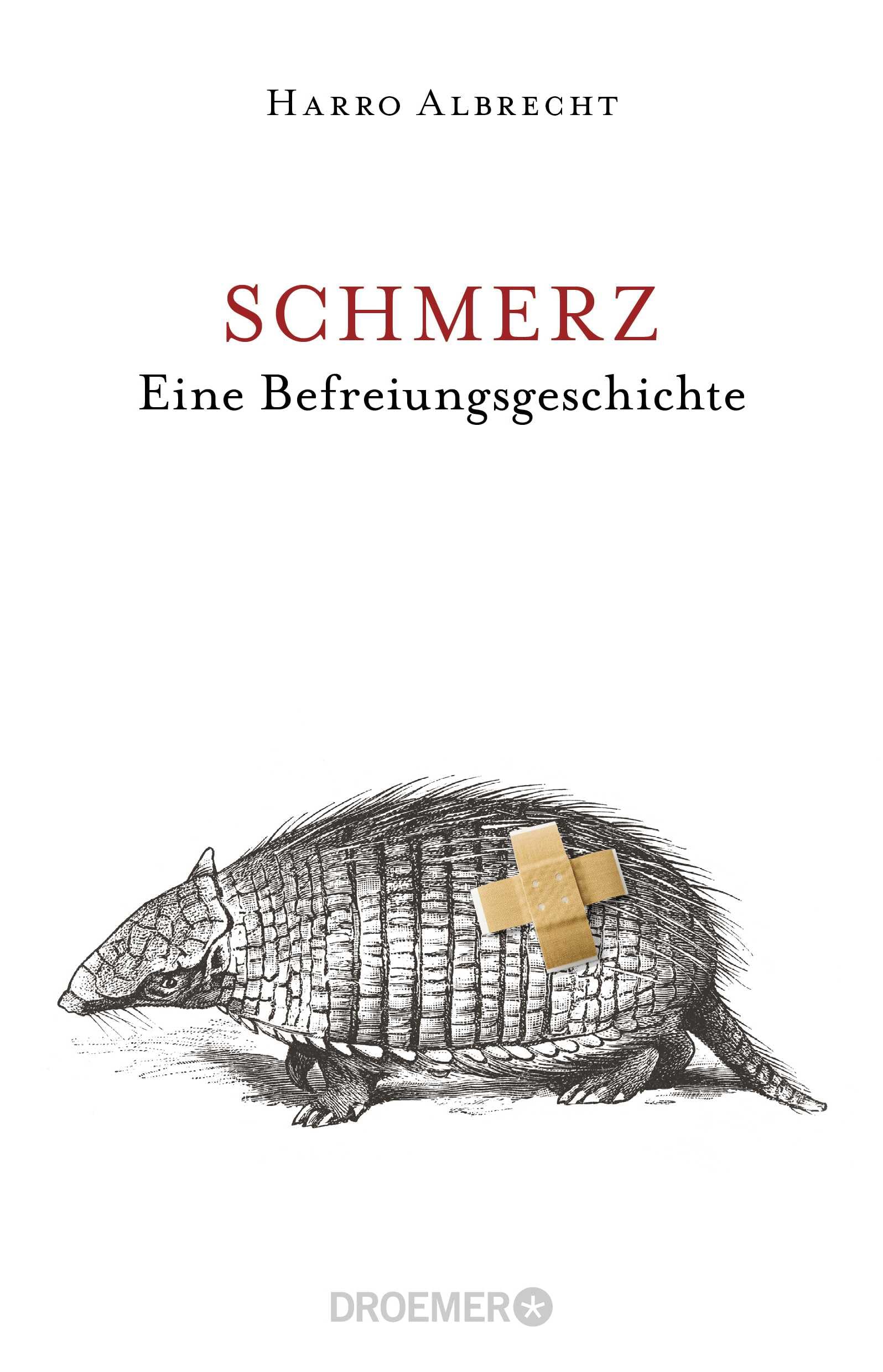 Schmerz Medicine