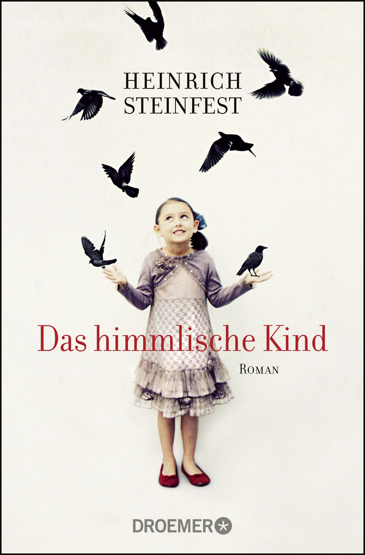 Das himmlische Kind Contemporary literature Books