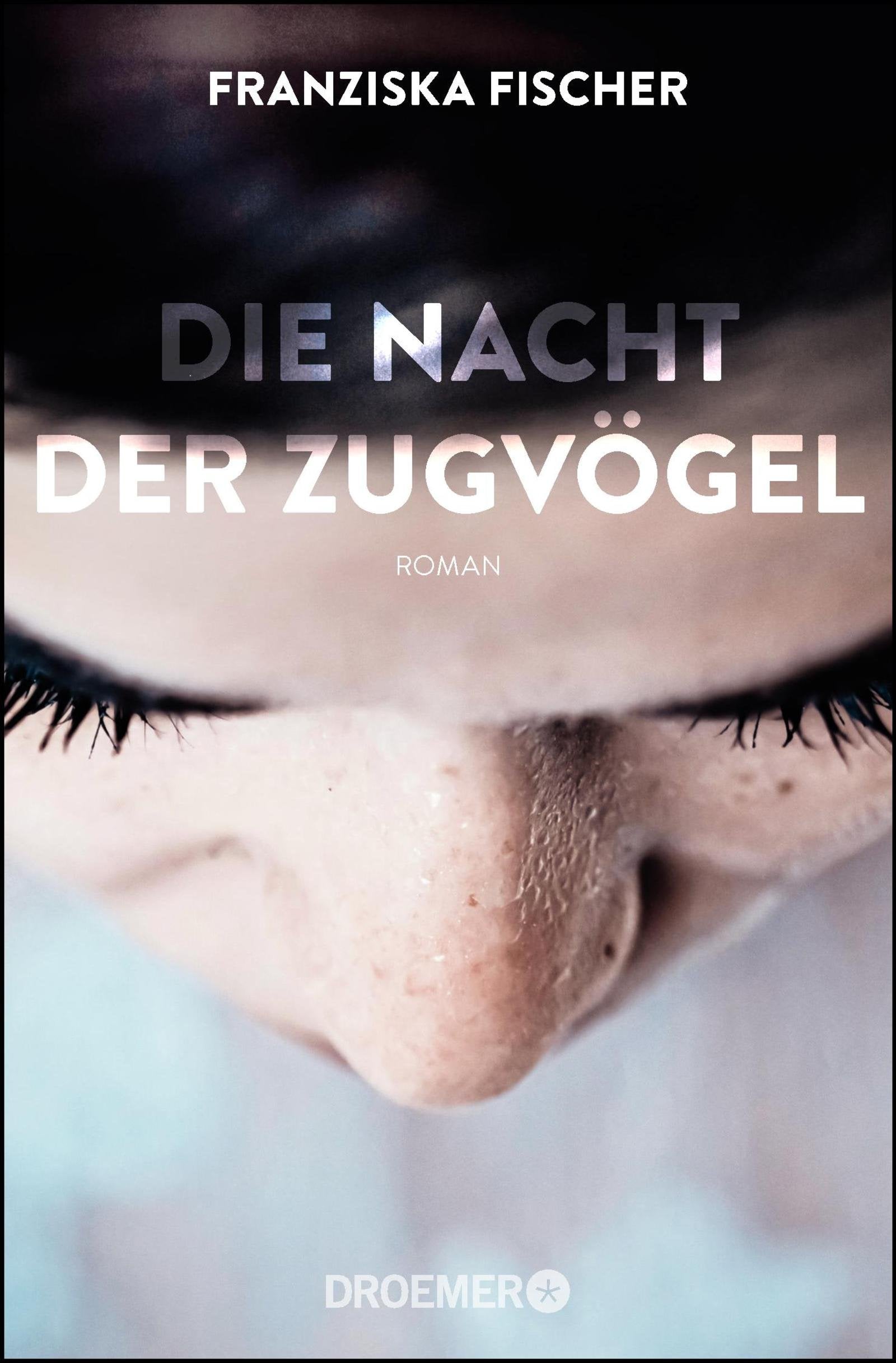 Die Nacht der Zugvögel: Roman Contemporary literature