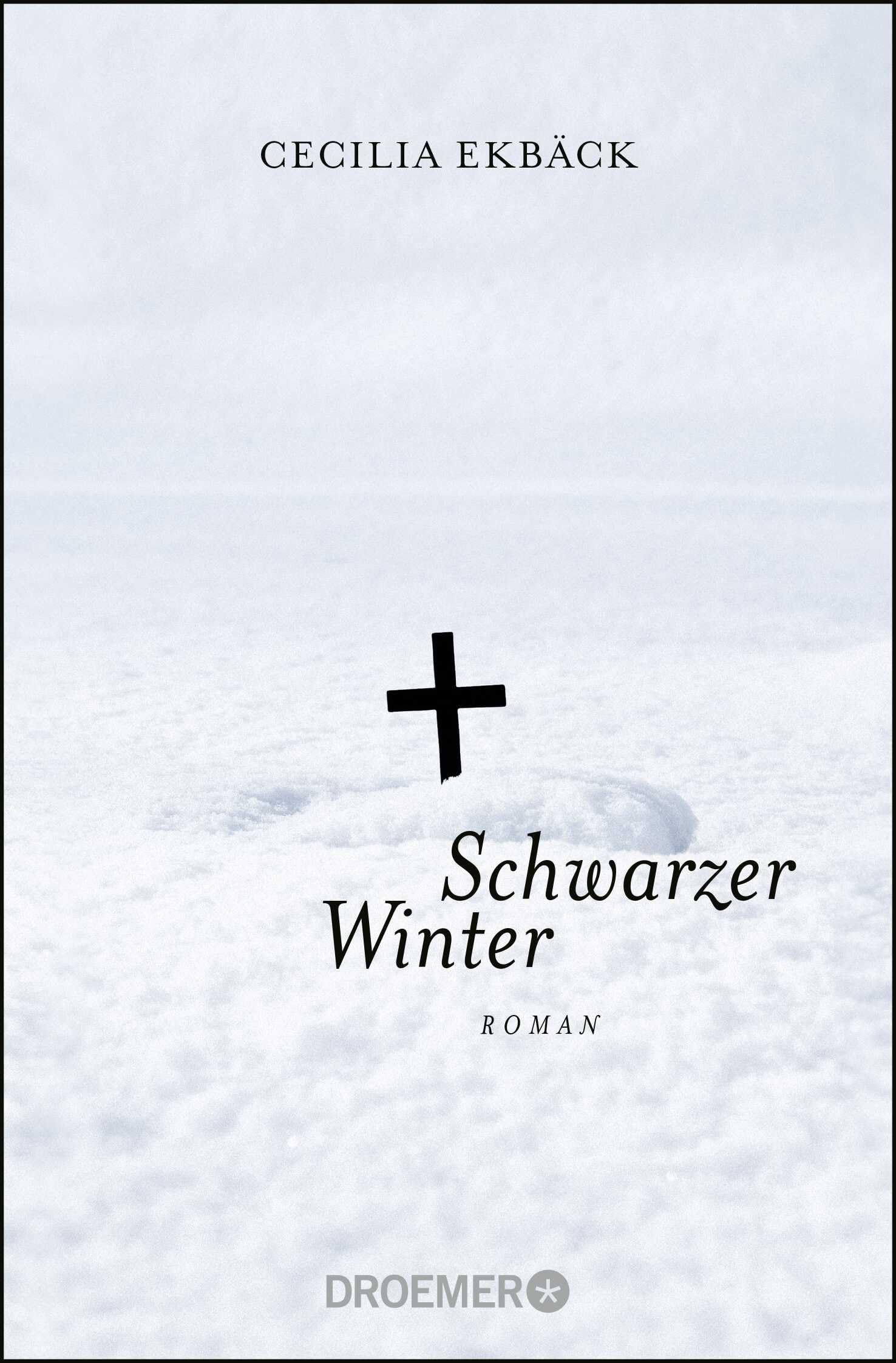 Schwarzer Winter Contemporary literature Books