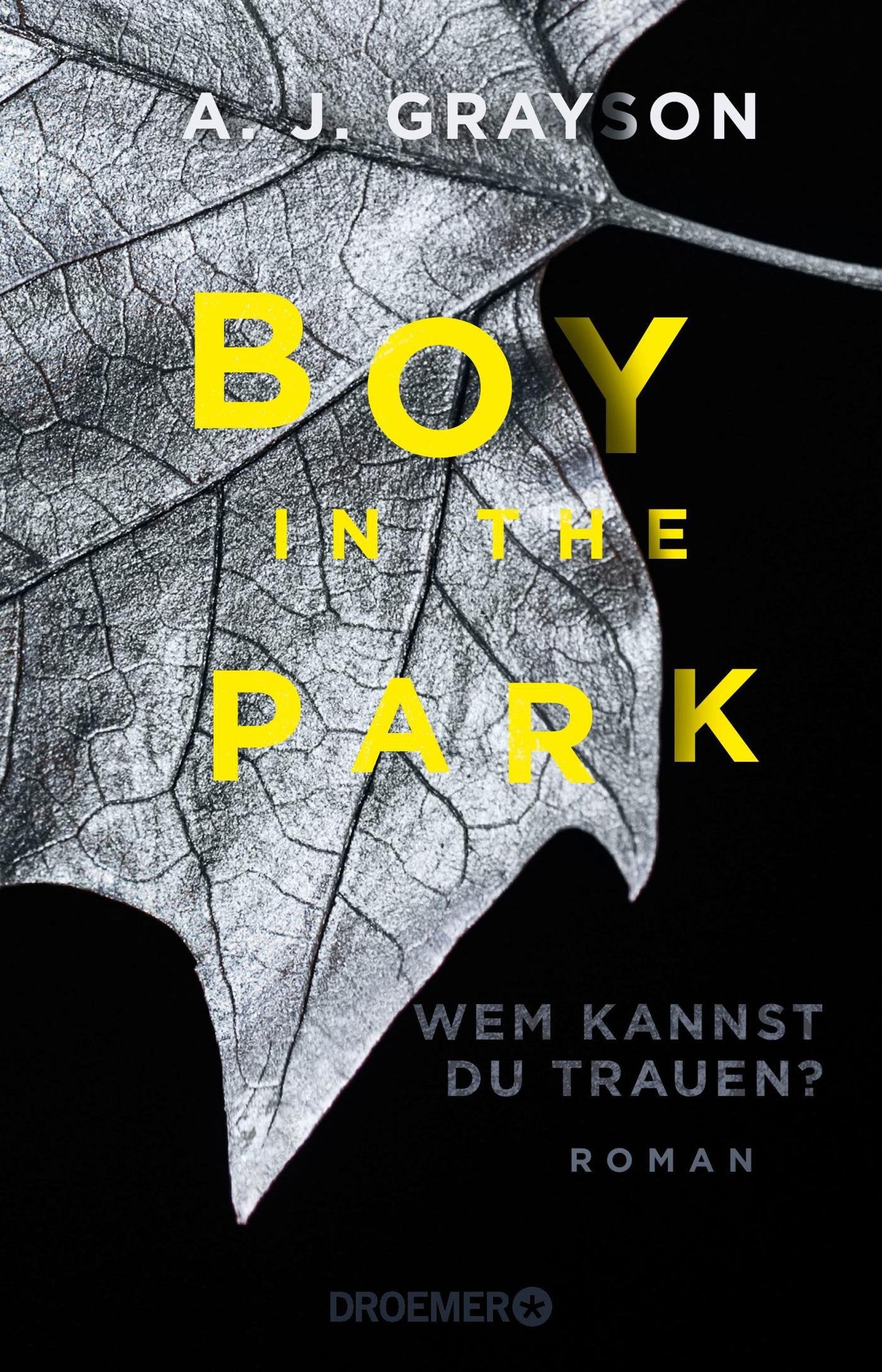 Boy in the Park – Wem kannst du trauen?: Roman Contemporary literature