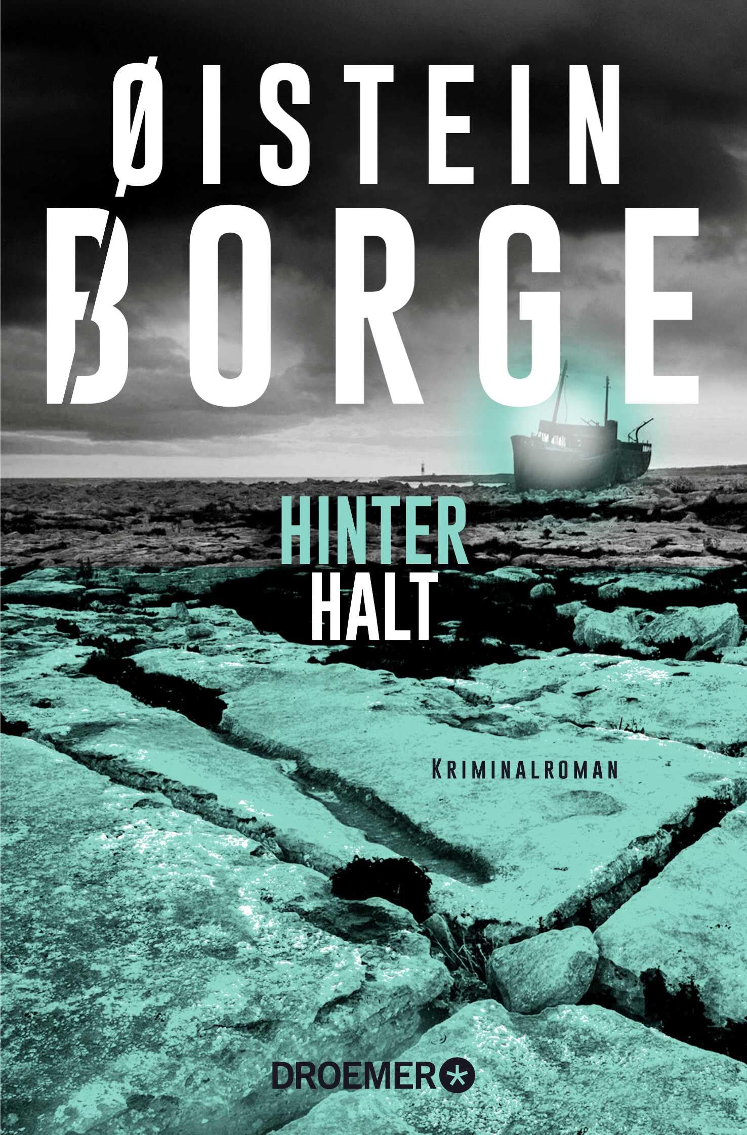Hinterhalt Contemporary literature Books