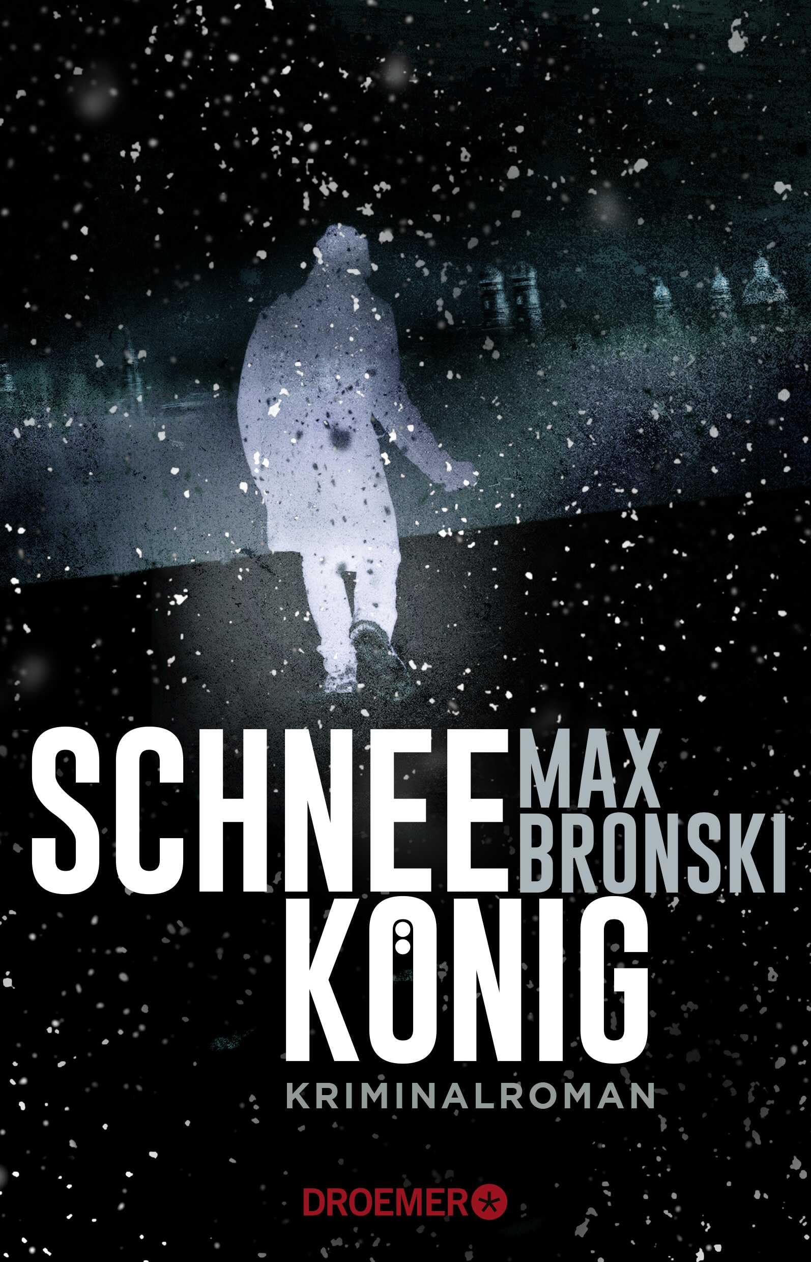 Schneekönig Contemporary literature Books