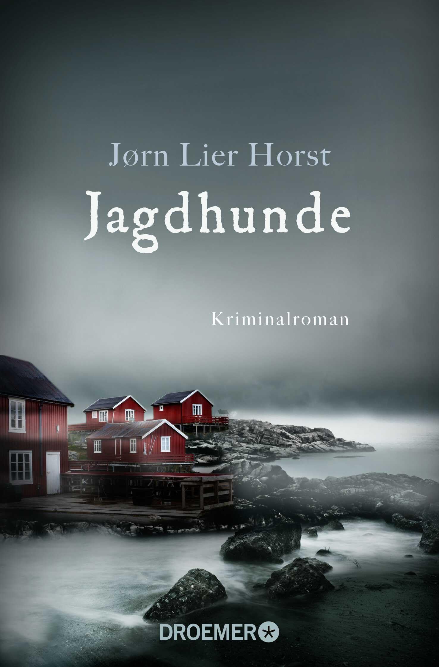 Jagdhunde: Kriminalroman (William-Wisting-Serie, Band 8) Contemporary literature