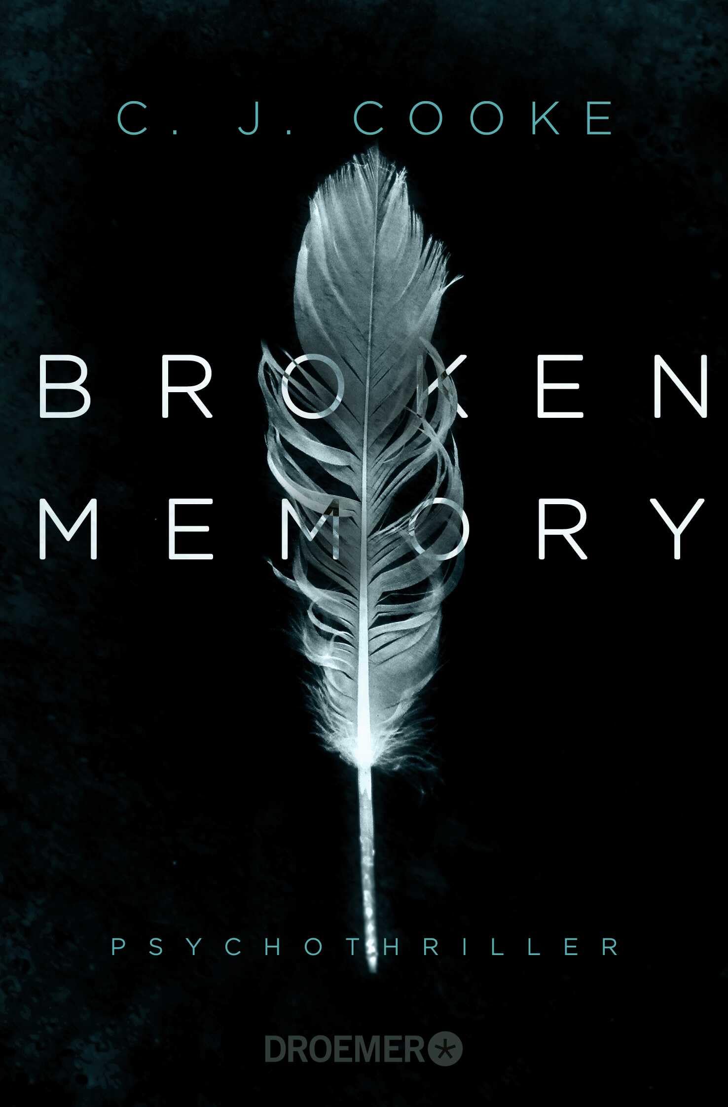 Broken Memory Contemporary literature Books