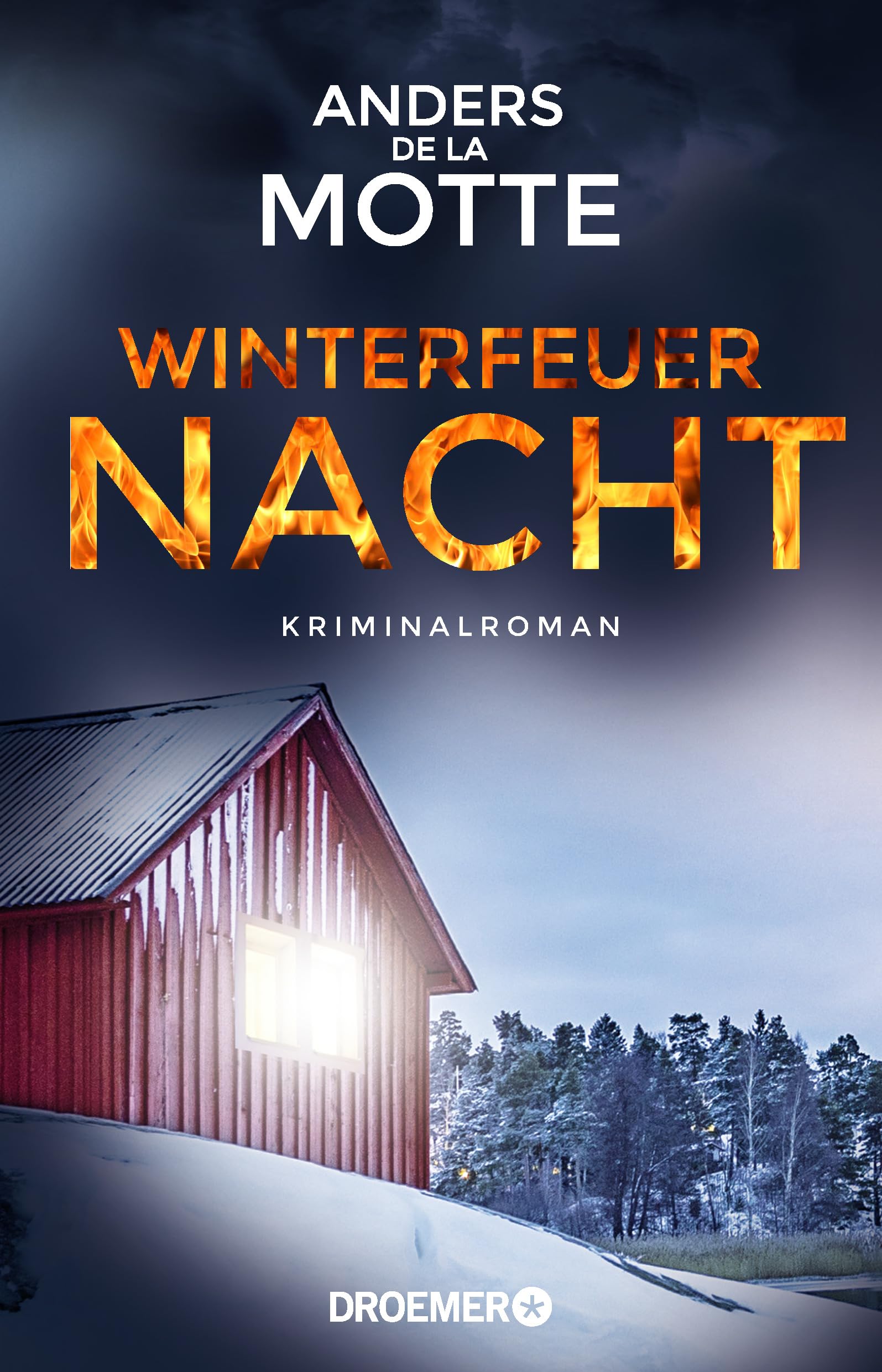 Winterfeuernacht Contemporary literature Books