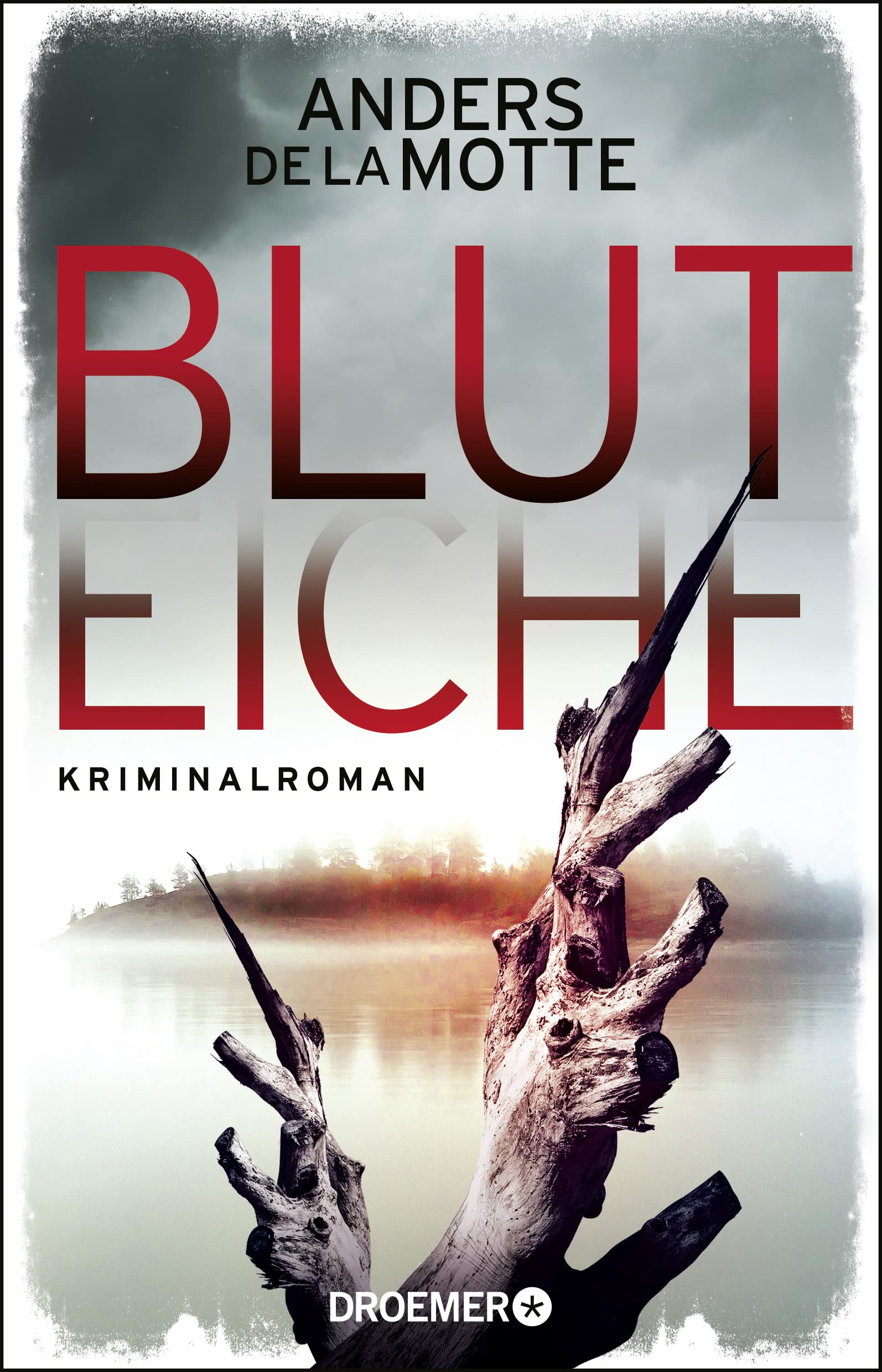 Bluteiche Contemporary literature Books