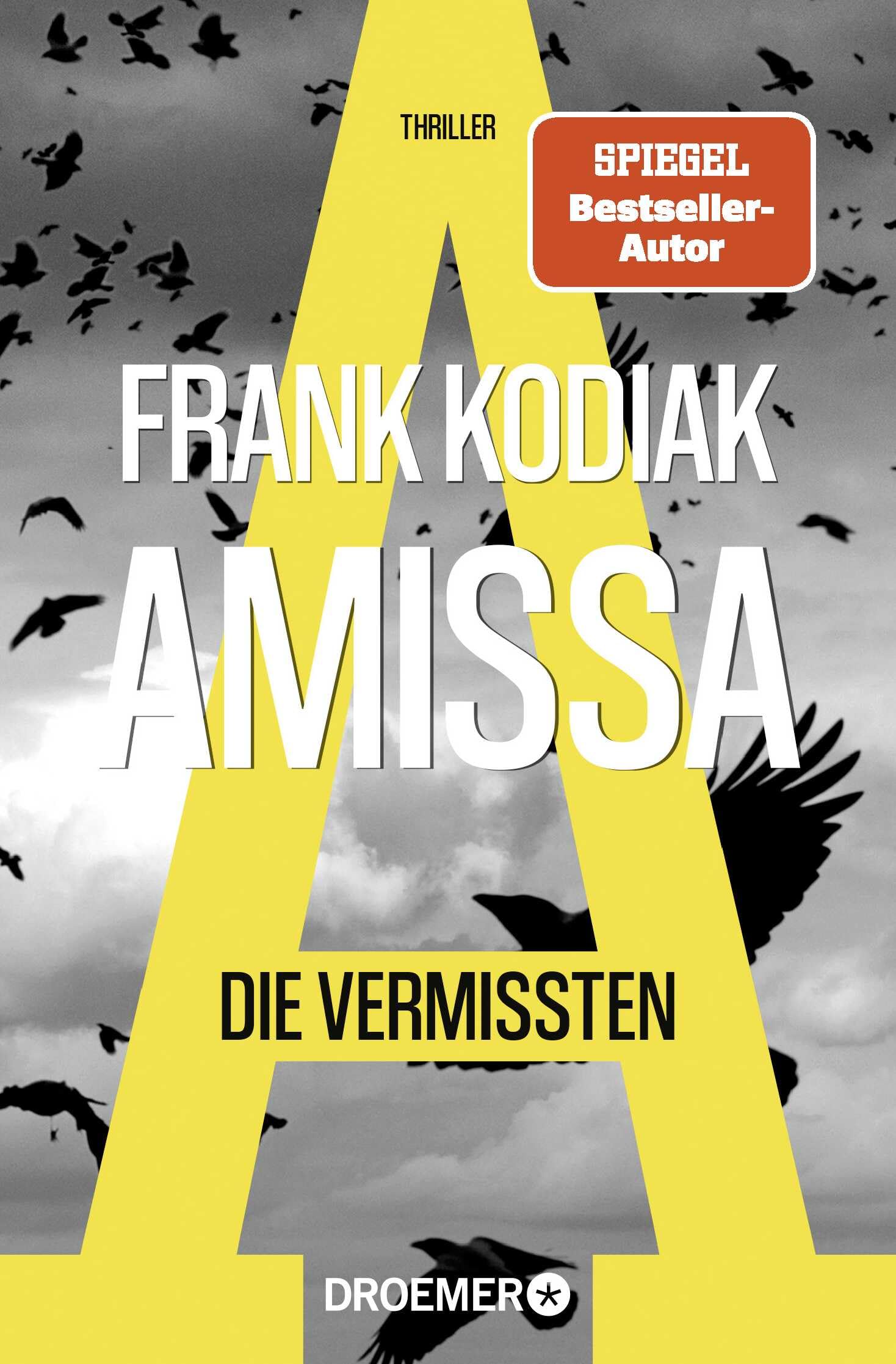 Amissa. Die Vermissten Contemporary literature Books