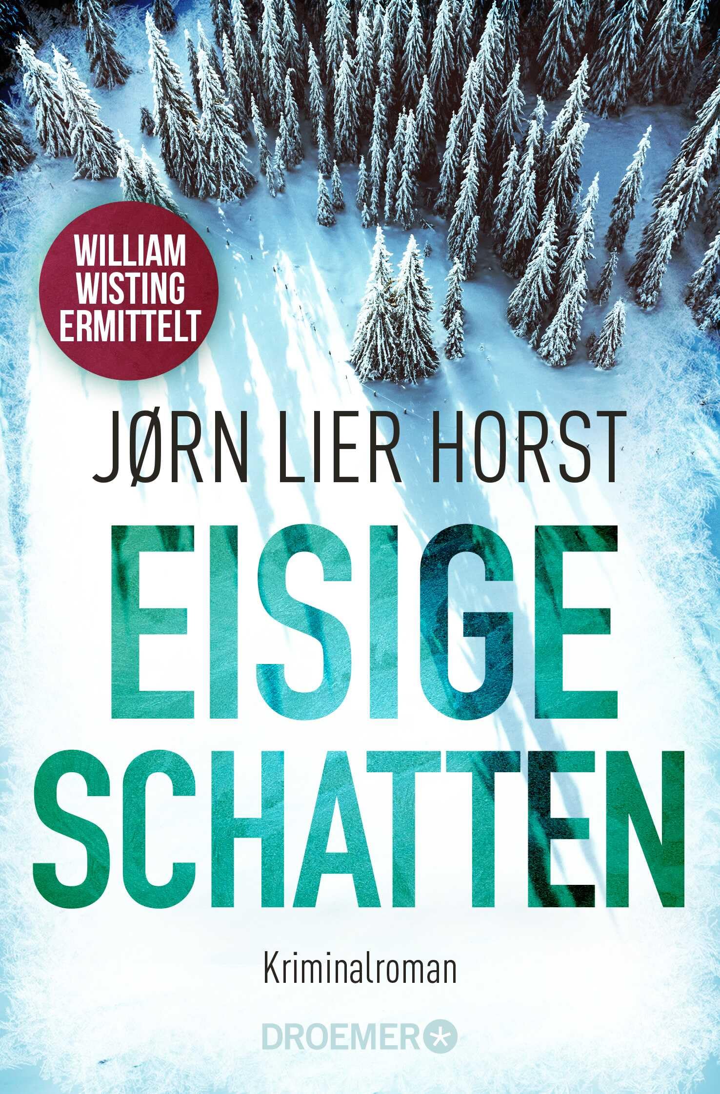 Eisige Schatten Contemporary literature Books