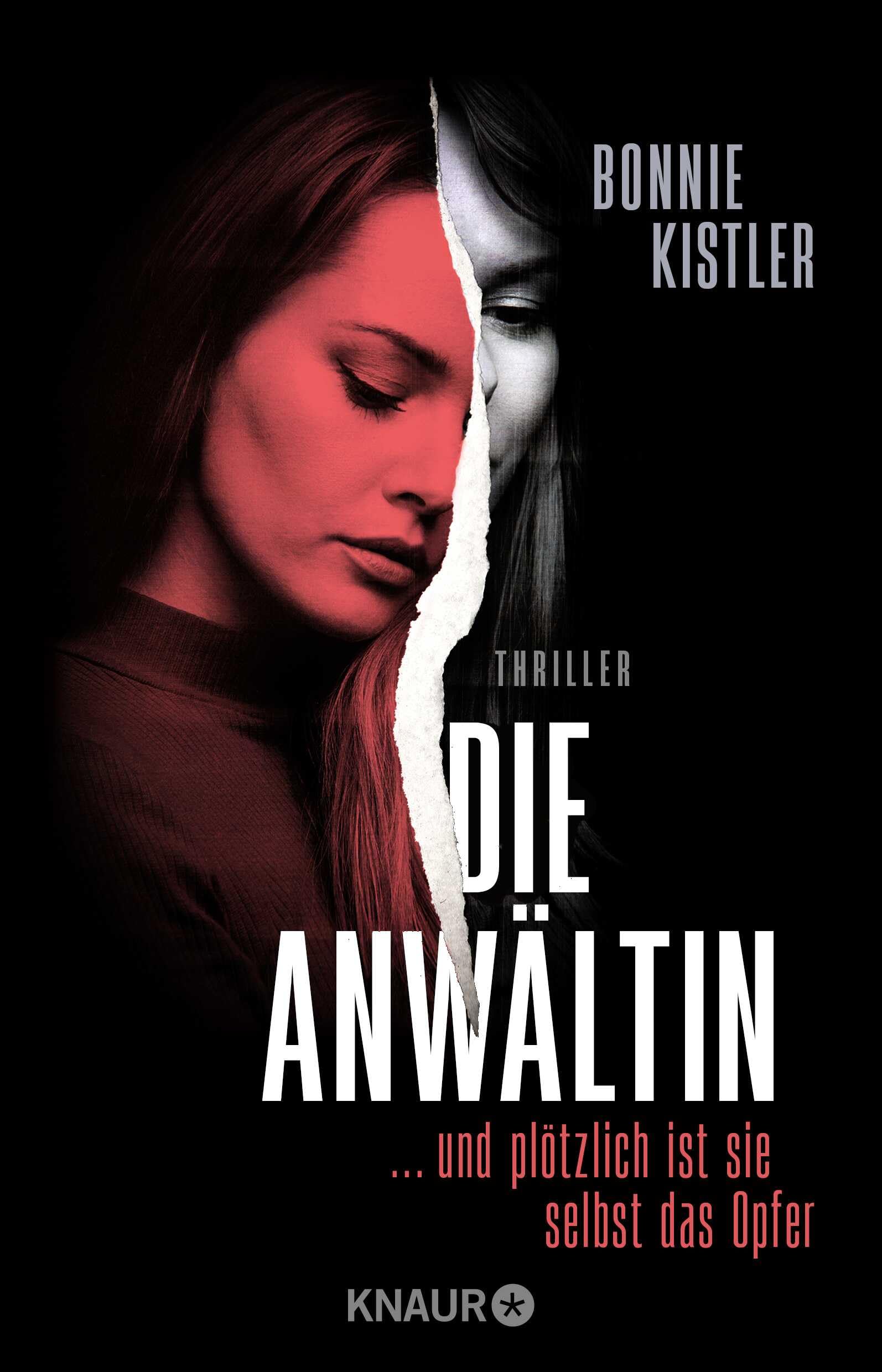 Die Anwältin Contemporary literature