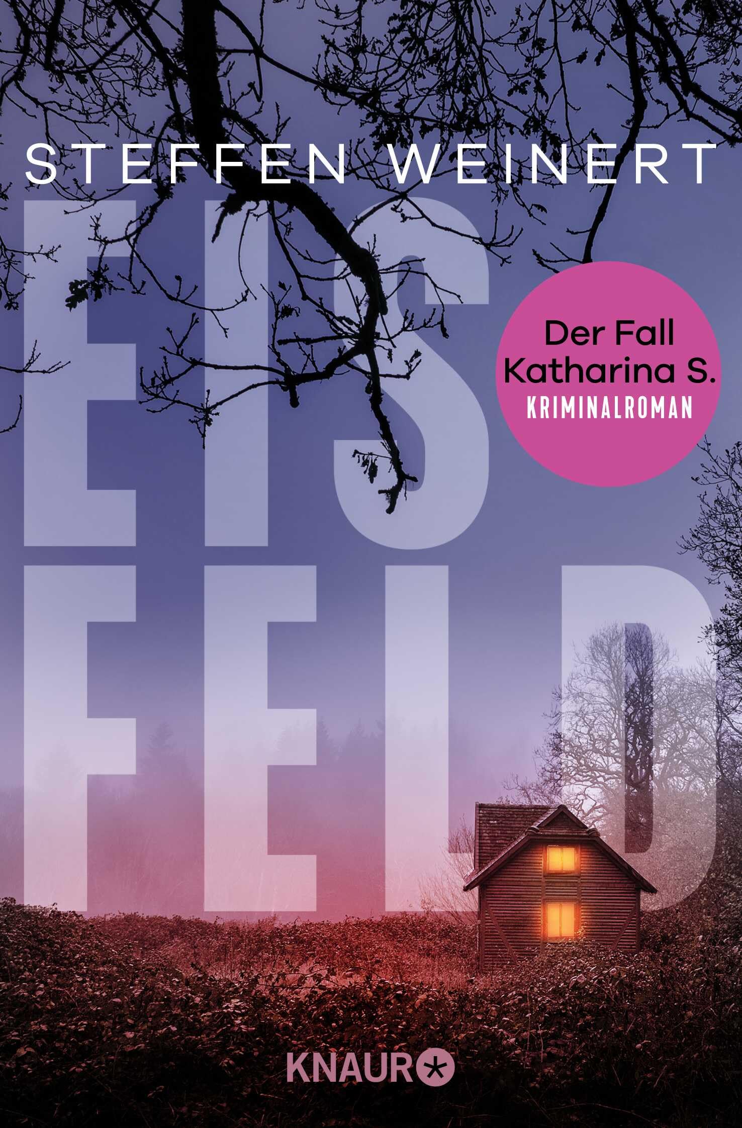 Eisfeld - Der Fall Katharina S. Contemporary literature Books