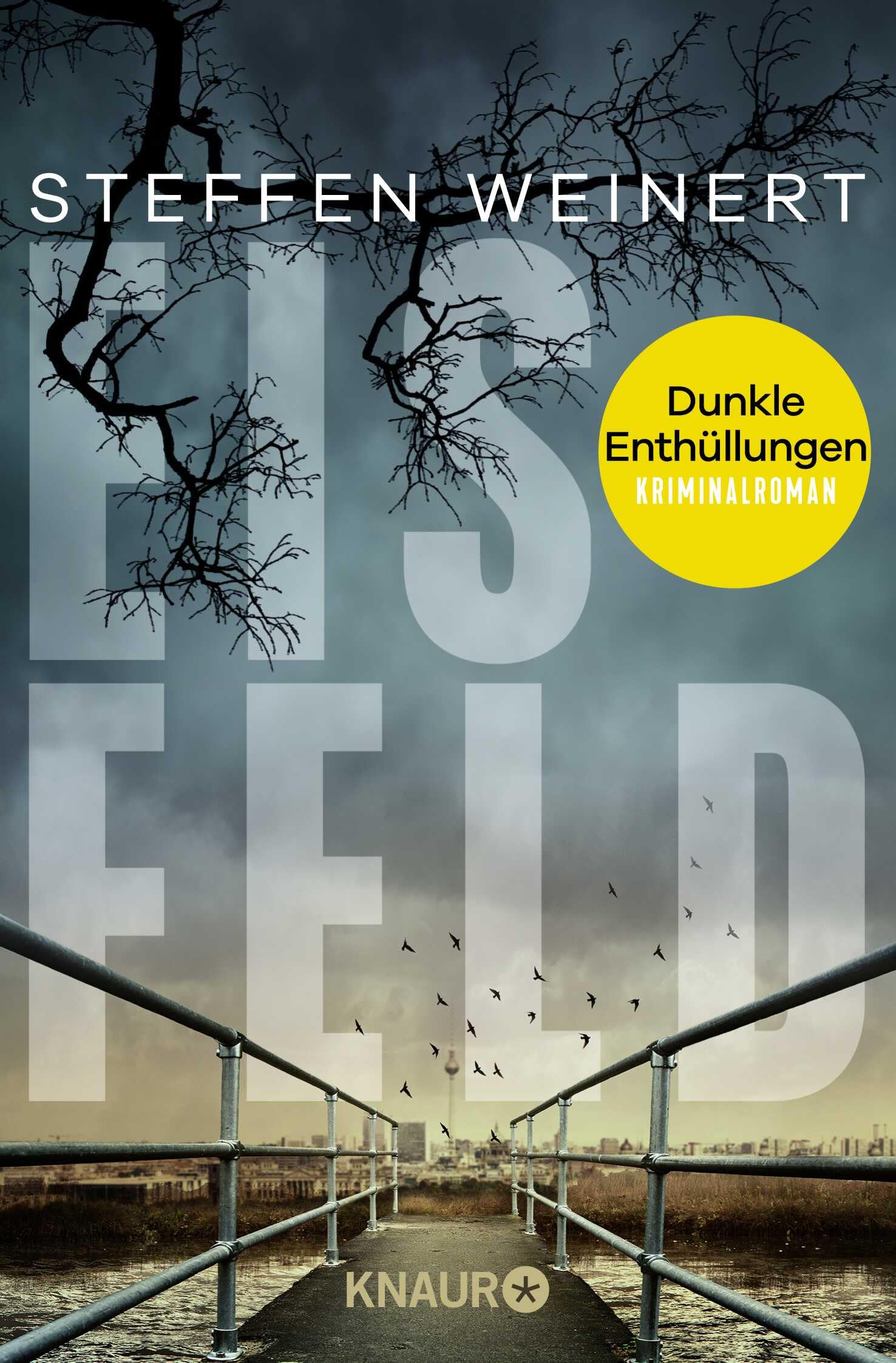 Eisfeld - Dunkle Enthüllungen Contemporary literature Books