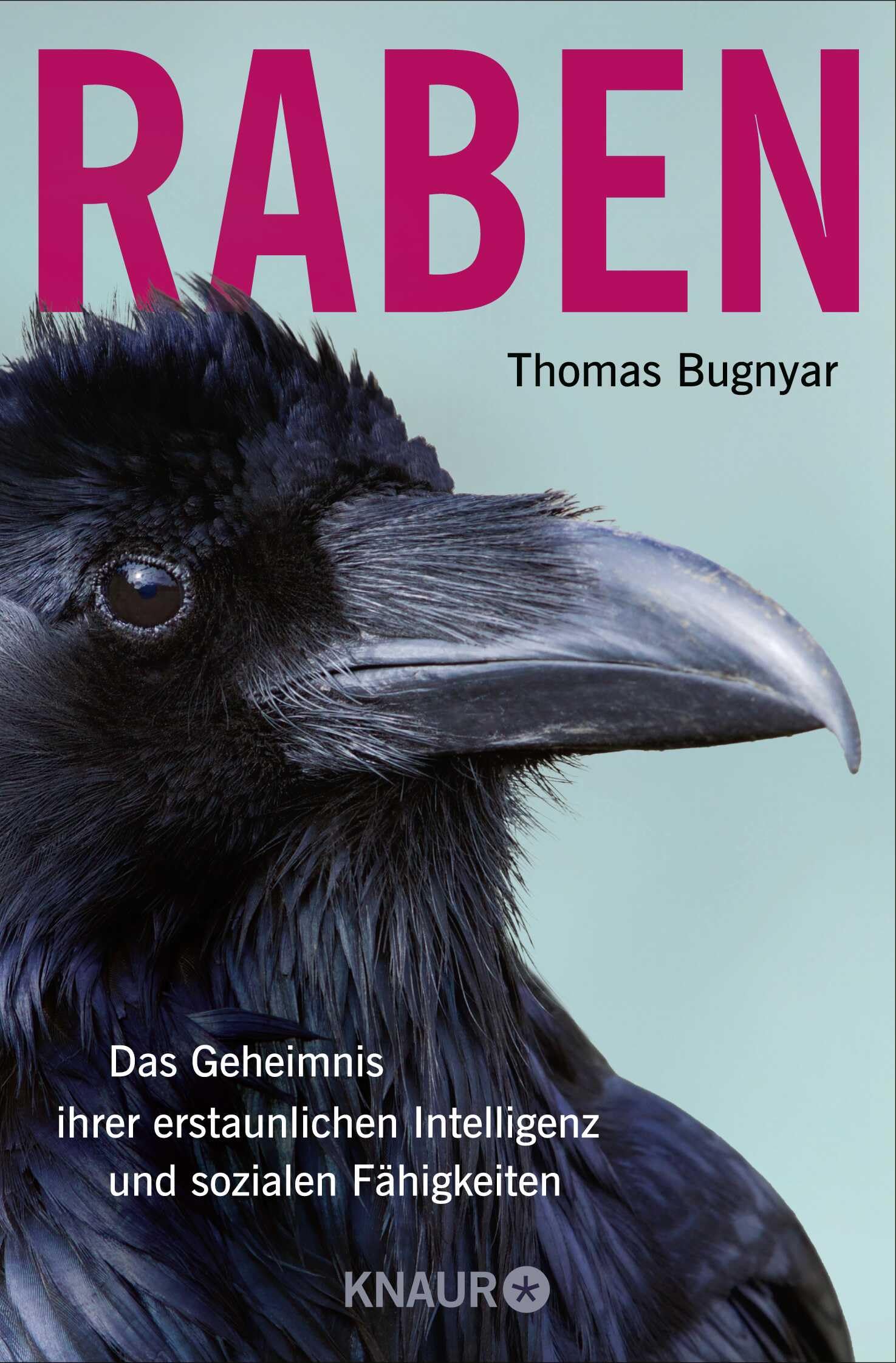 Raben Mathematics