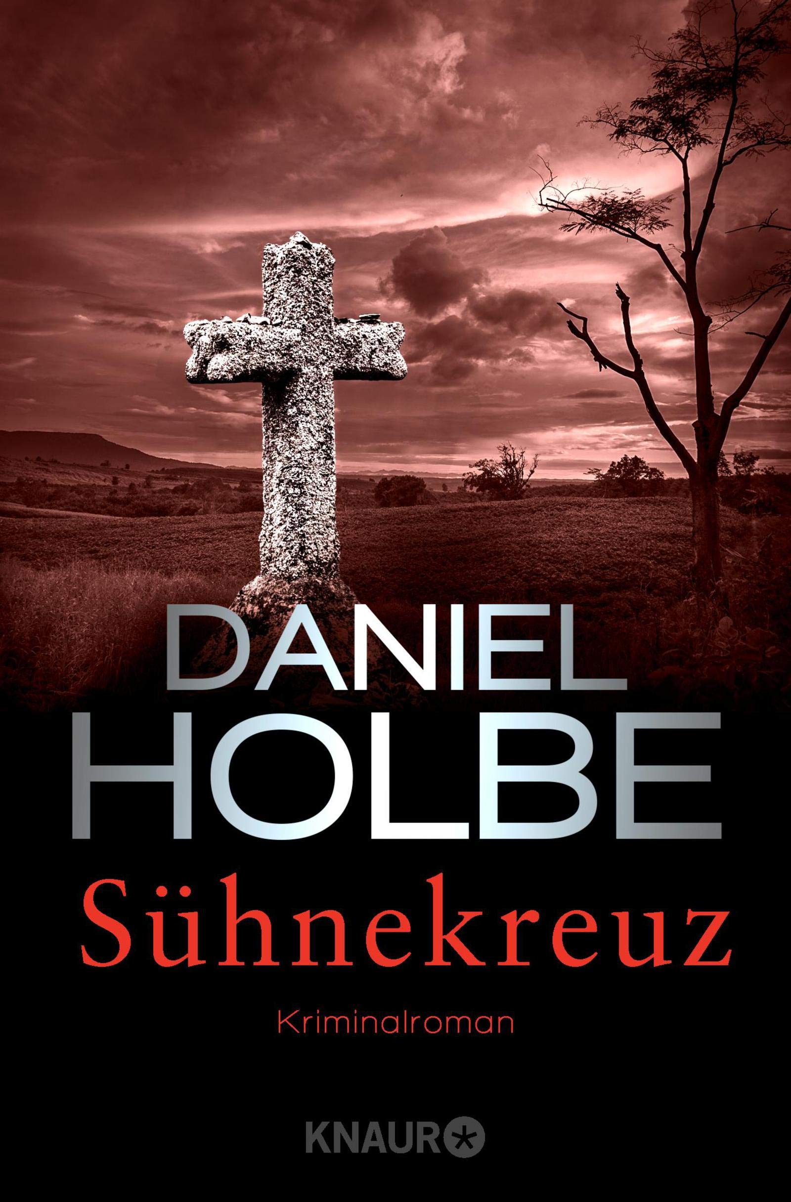 Sühnekreuz: Kriminalroman (Ein Sabine-Kaufmann-Krimi) Books