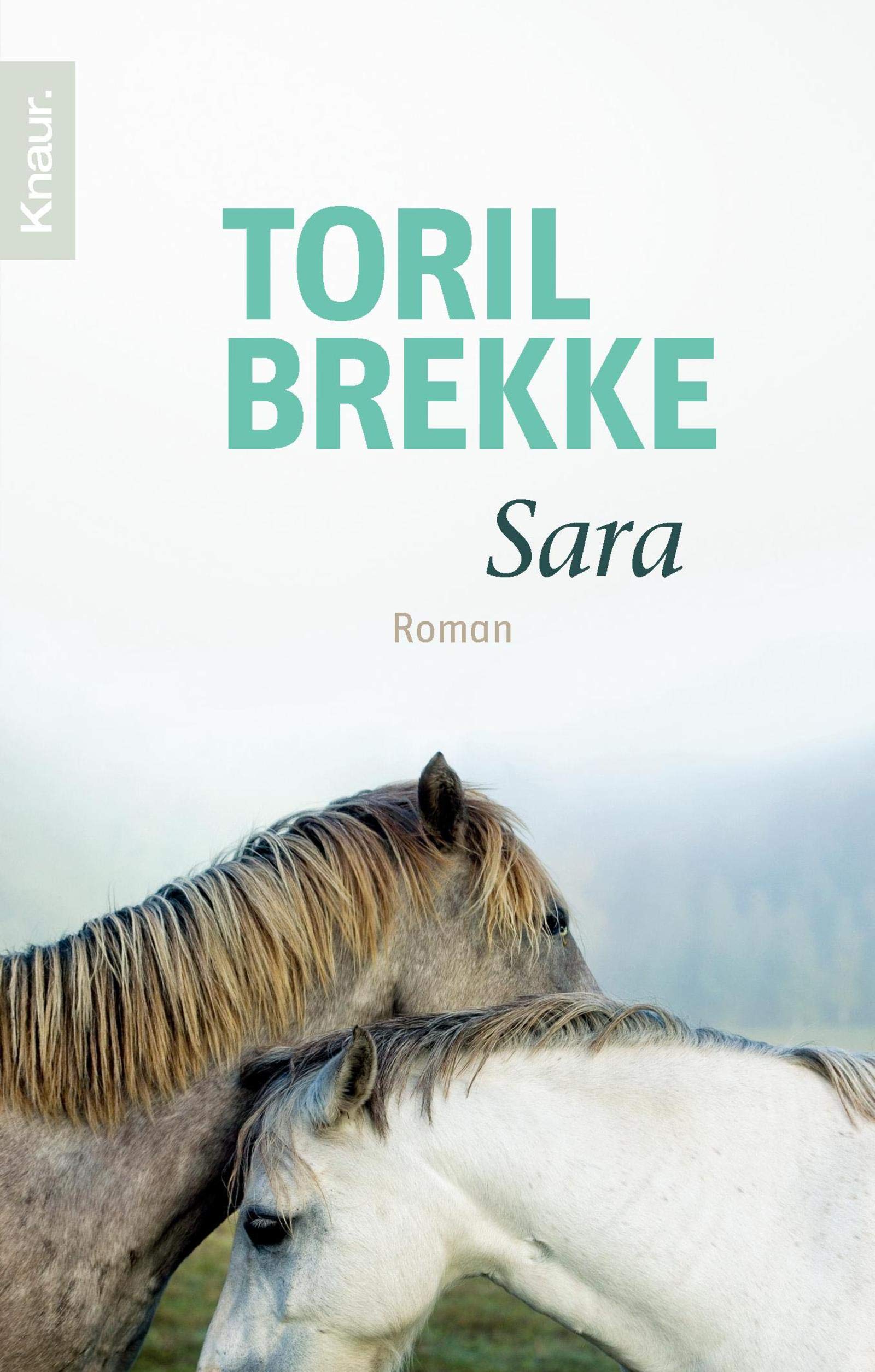 Sara: Roman Contemporary literature Books