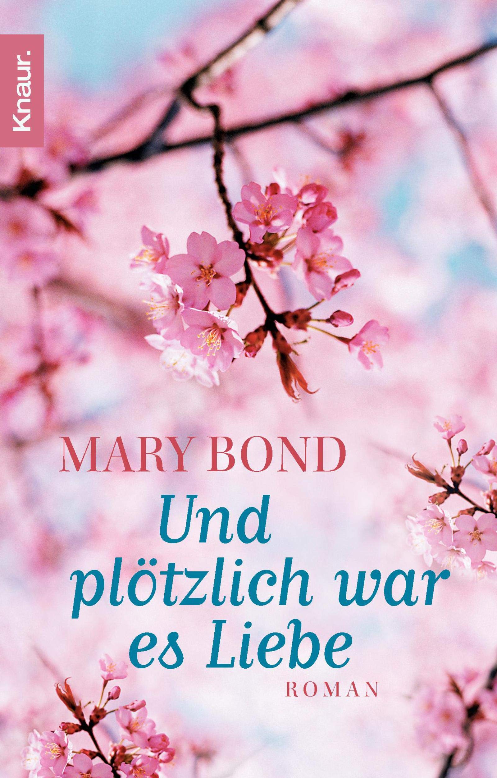 Und plötzlich war es Liebe: Roman Contemporary literature