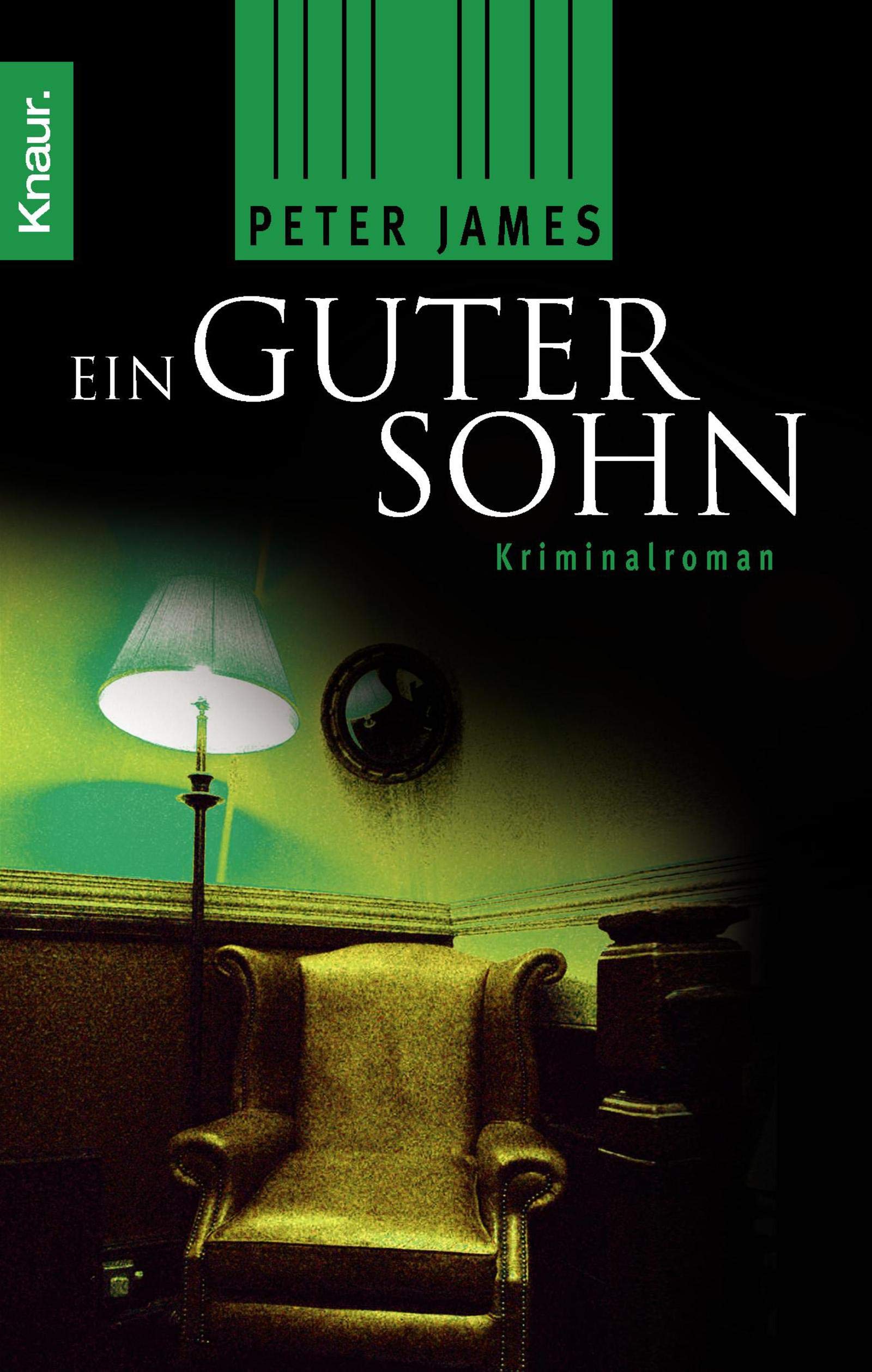Ein guter Sohn Contemporary literature Books