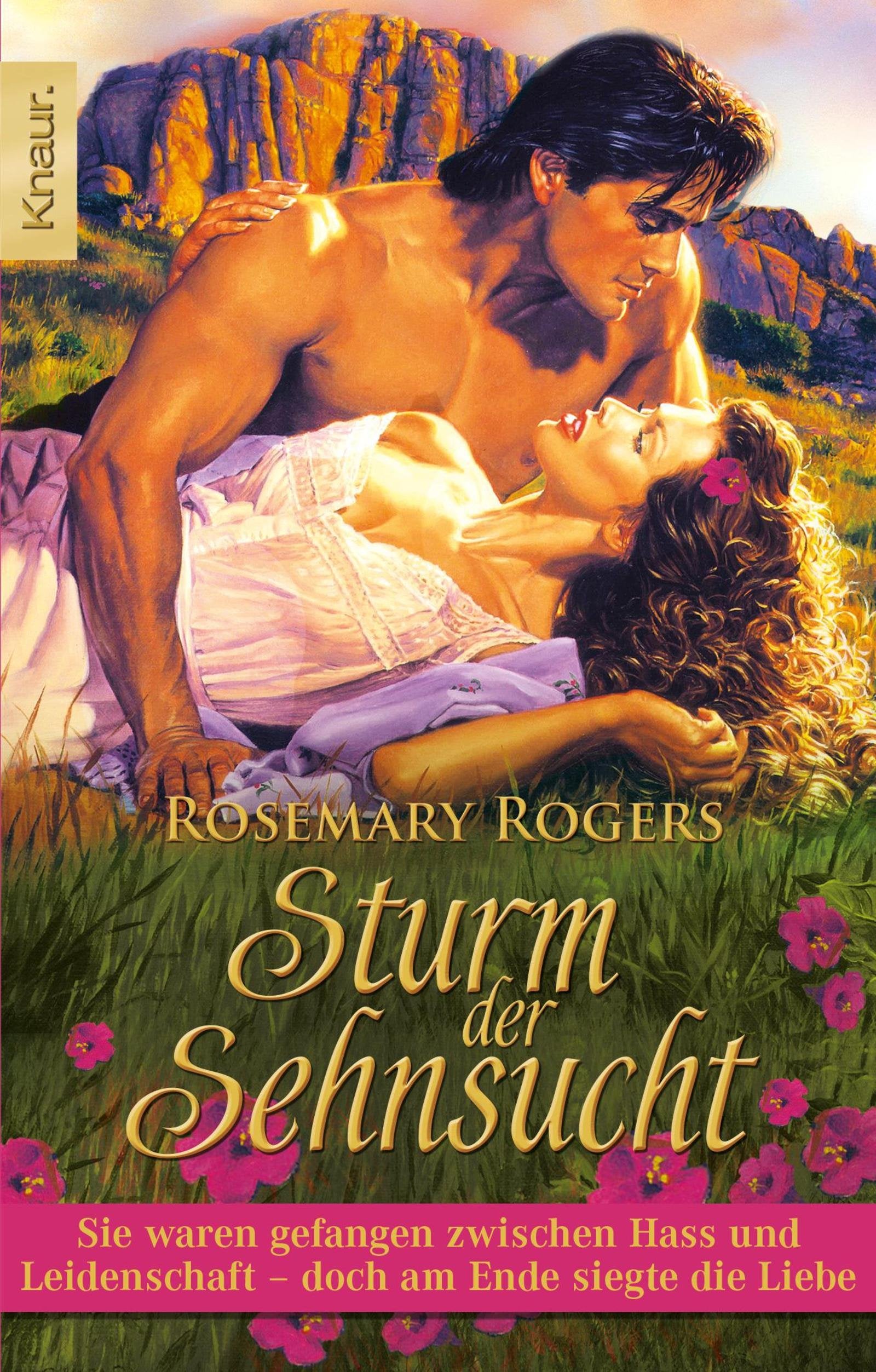 Sturm der Sehnsucht: Sie waren gefangen zwischen Hass und Leidenschaft - doch am Ende siegte die Liebe Contemporary literature