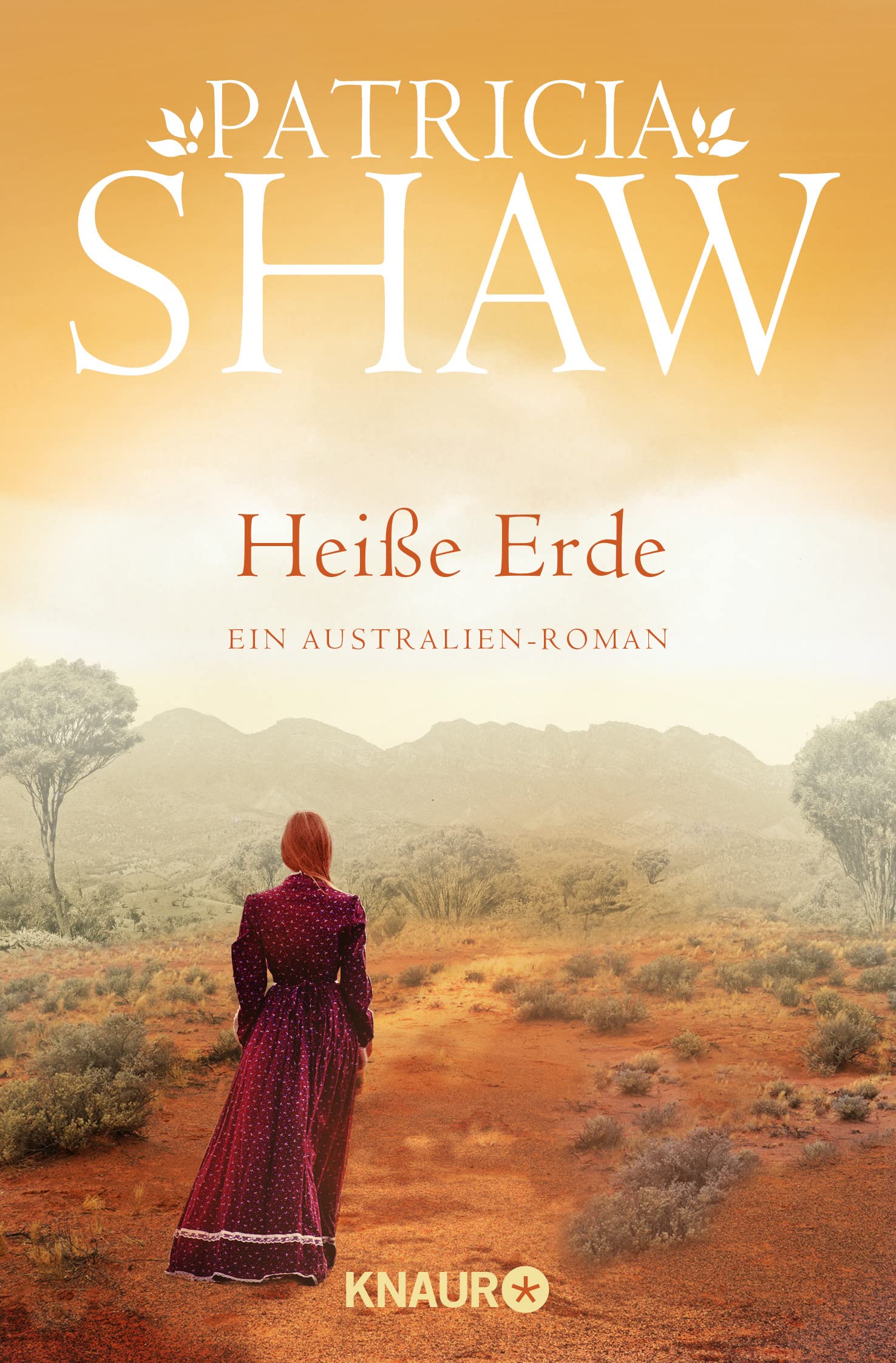 Heiße Erde Contemporary literature Books