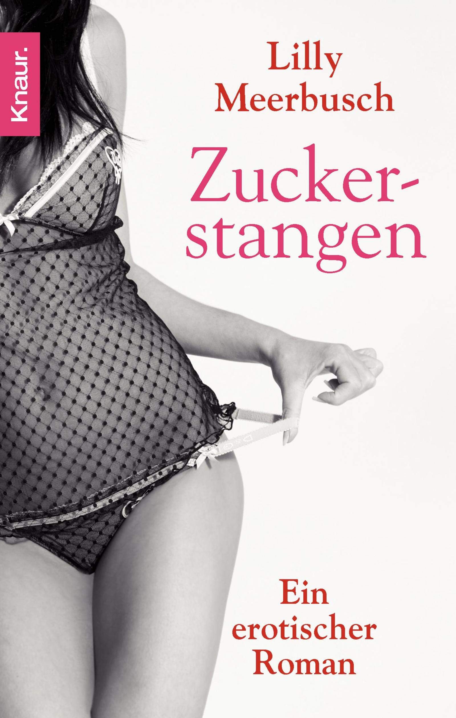 Zuckerstangen: Ein erotischer Roman Contemporary literature